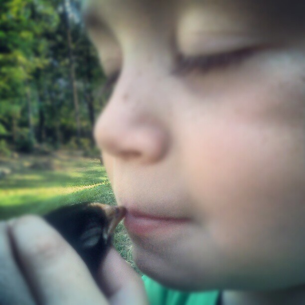 Baby chick kisses