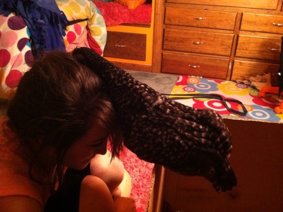 Baby Cocoa fell asleep on my head after doing my hair