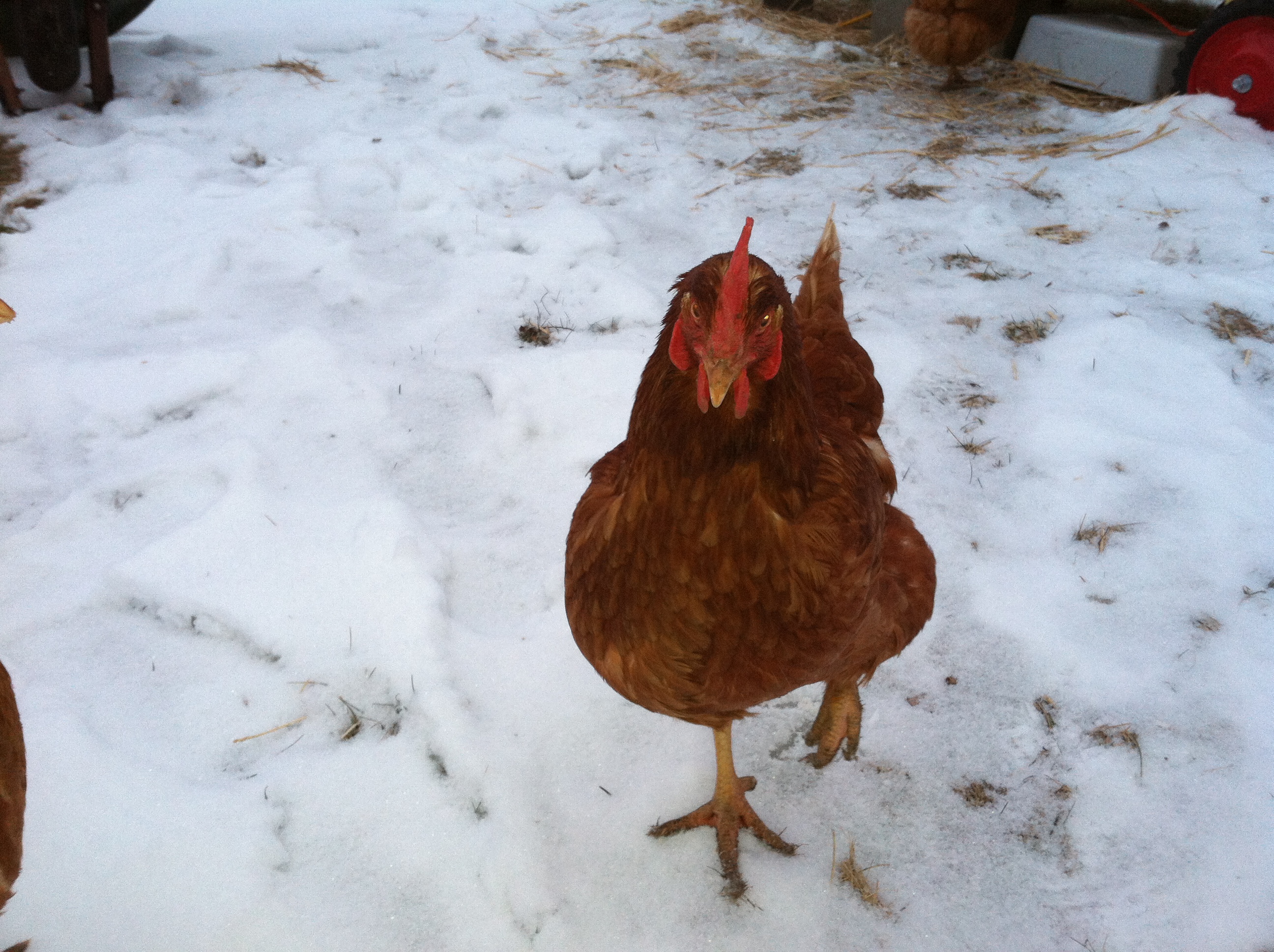 Baby its cold out here.