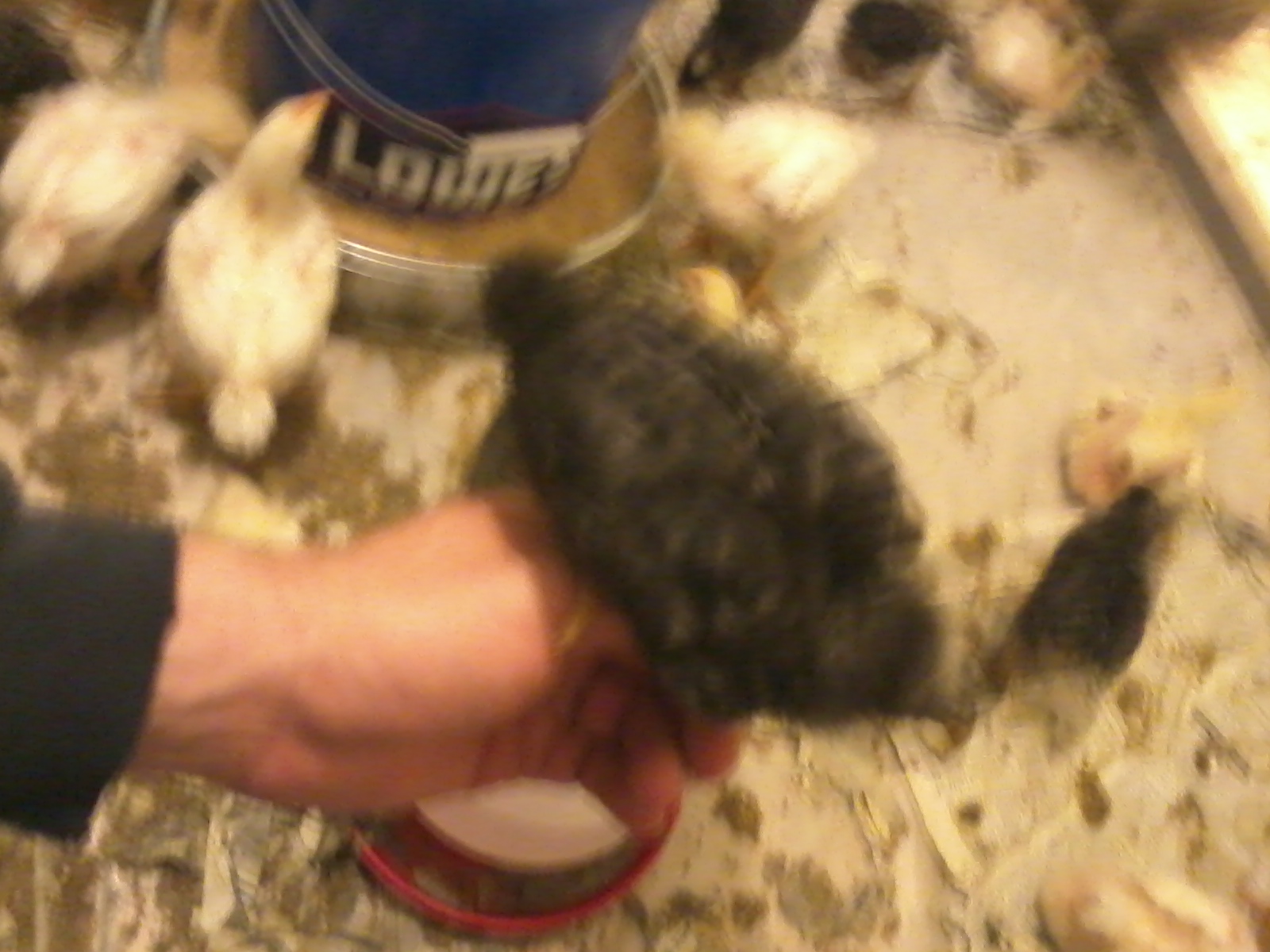 Baby wants to be held.