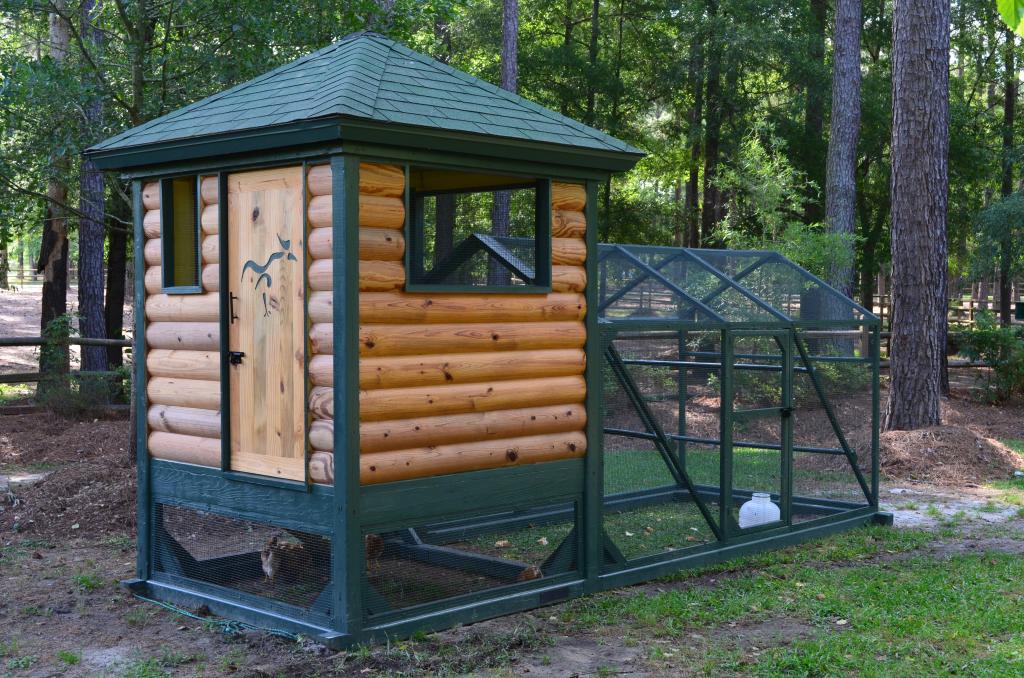 Back and right sides