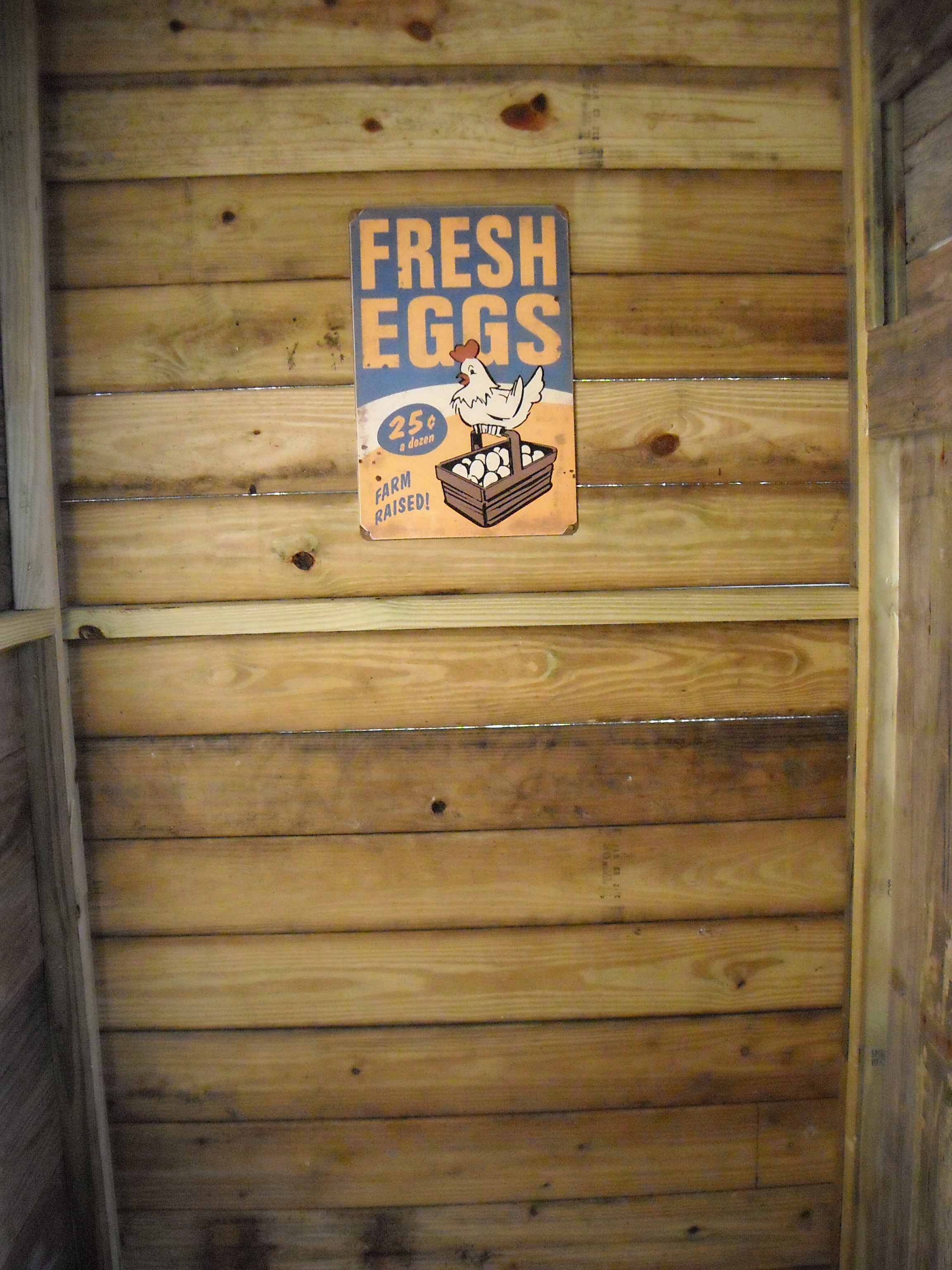 Back area ready for nesting boxes