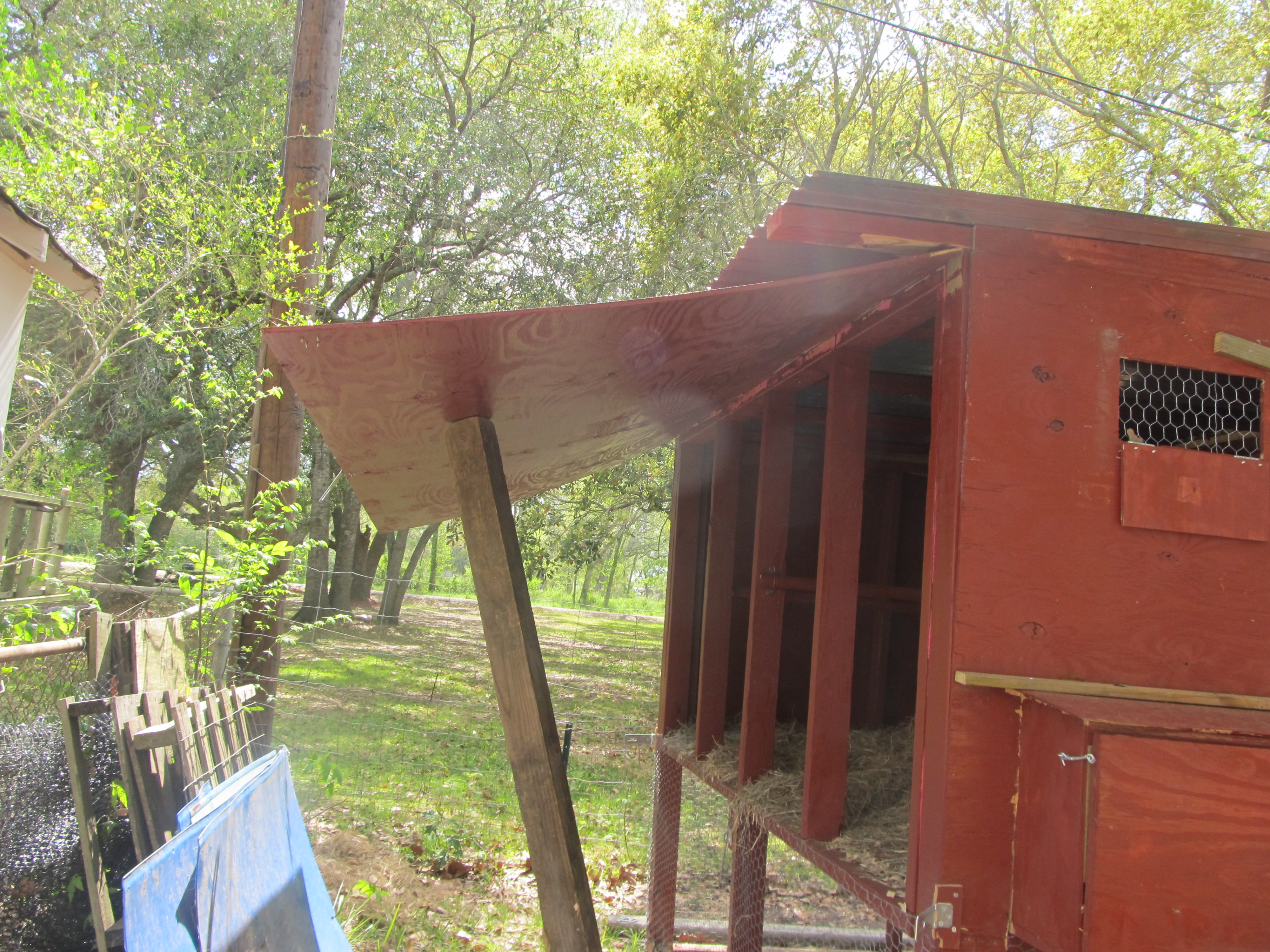 Back door open access for cleaning coop for laying hens.