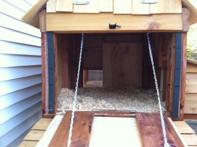 back door to easy clean coop