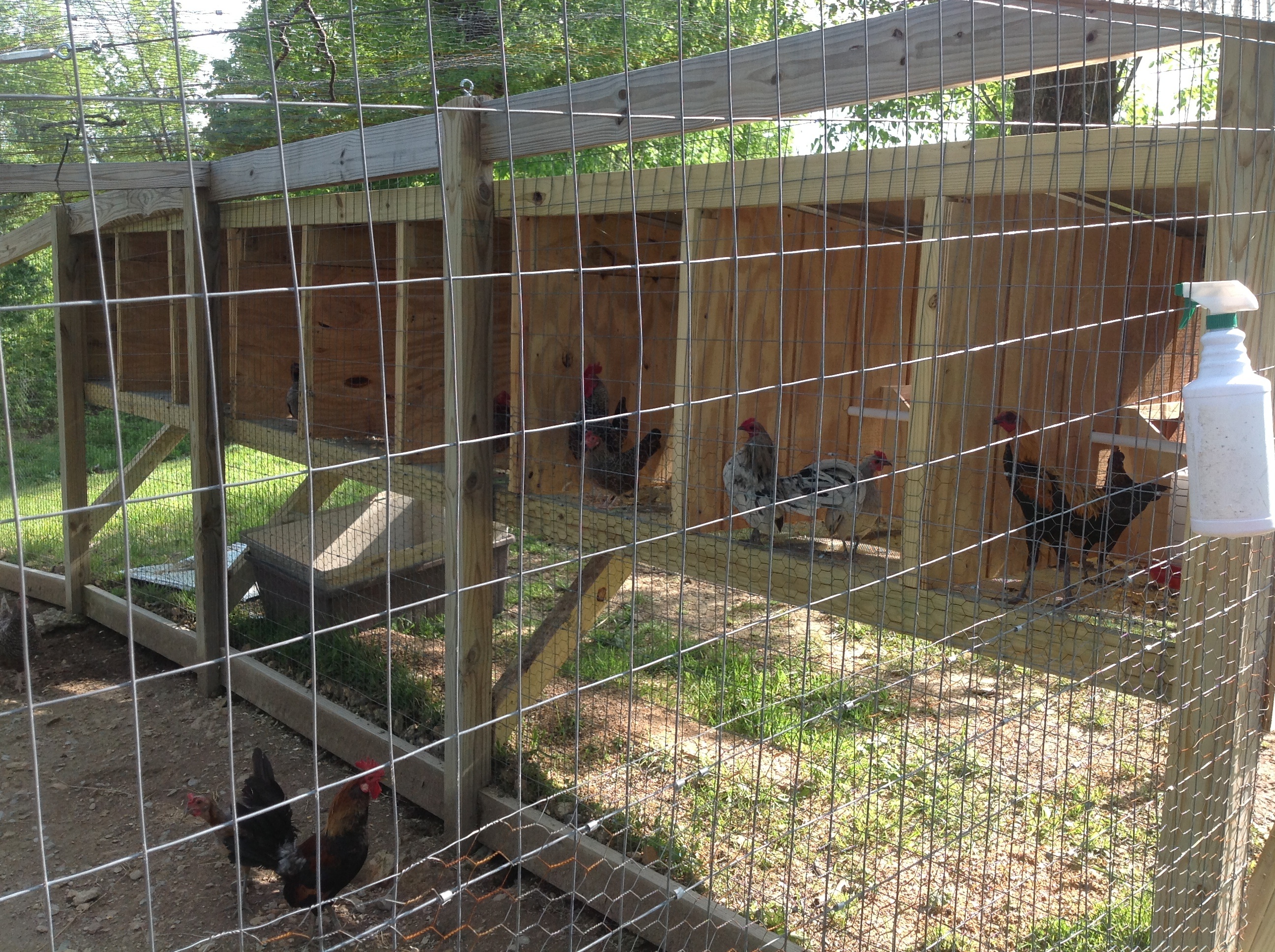 Back of brooder pen