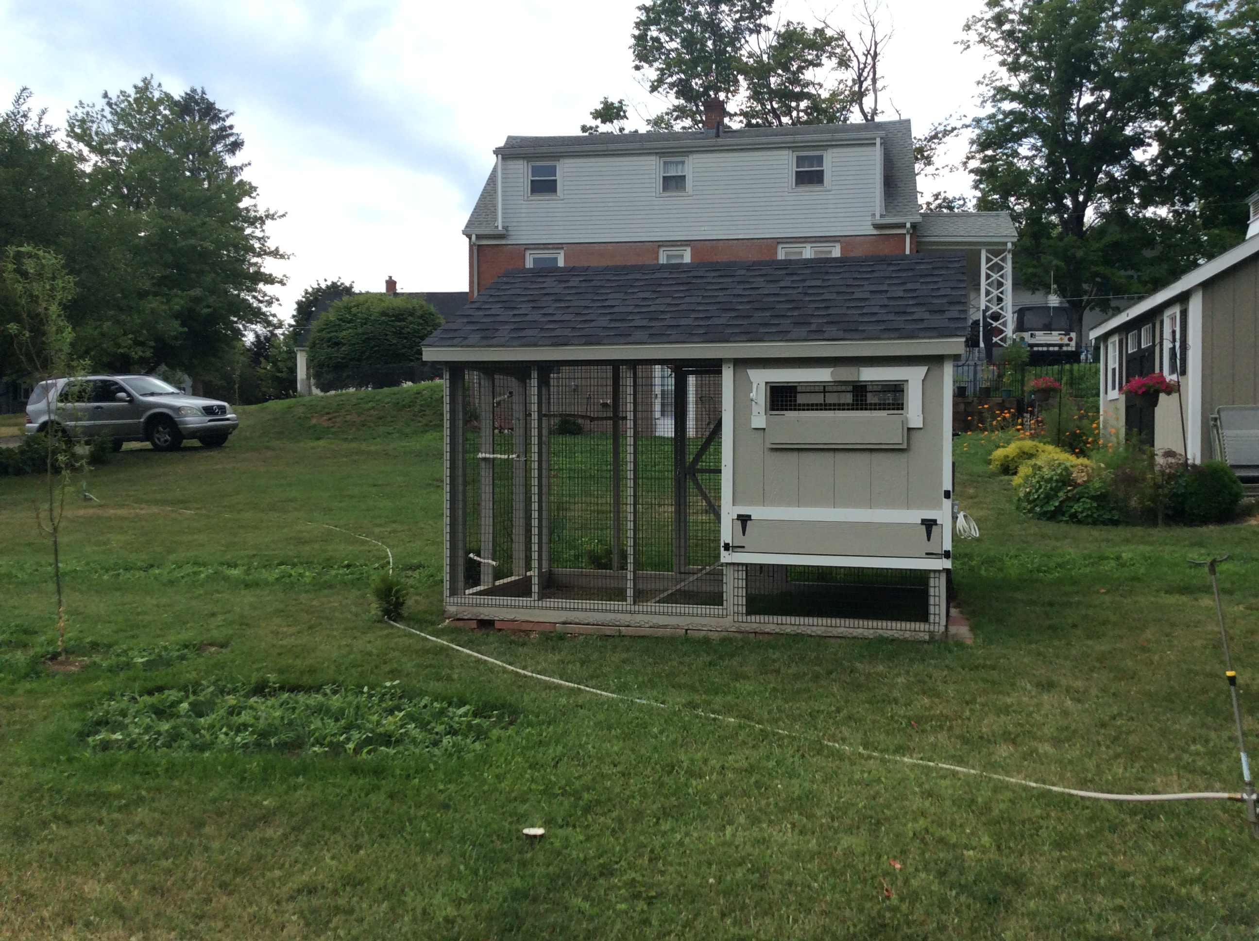 Back of coop shot from property line
