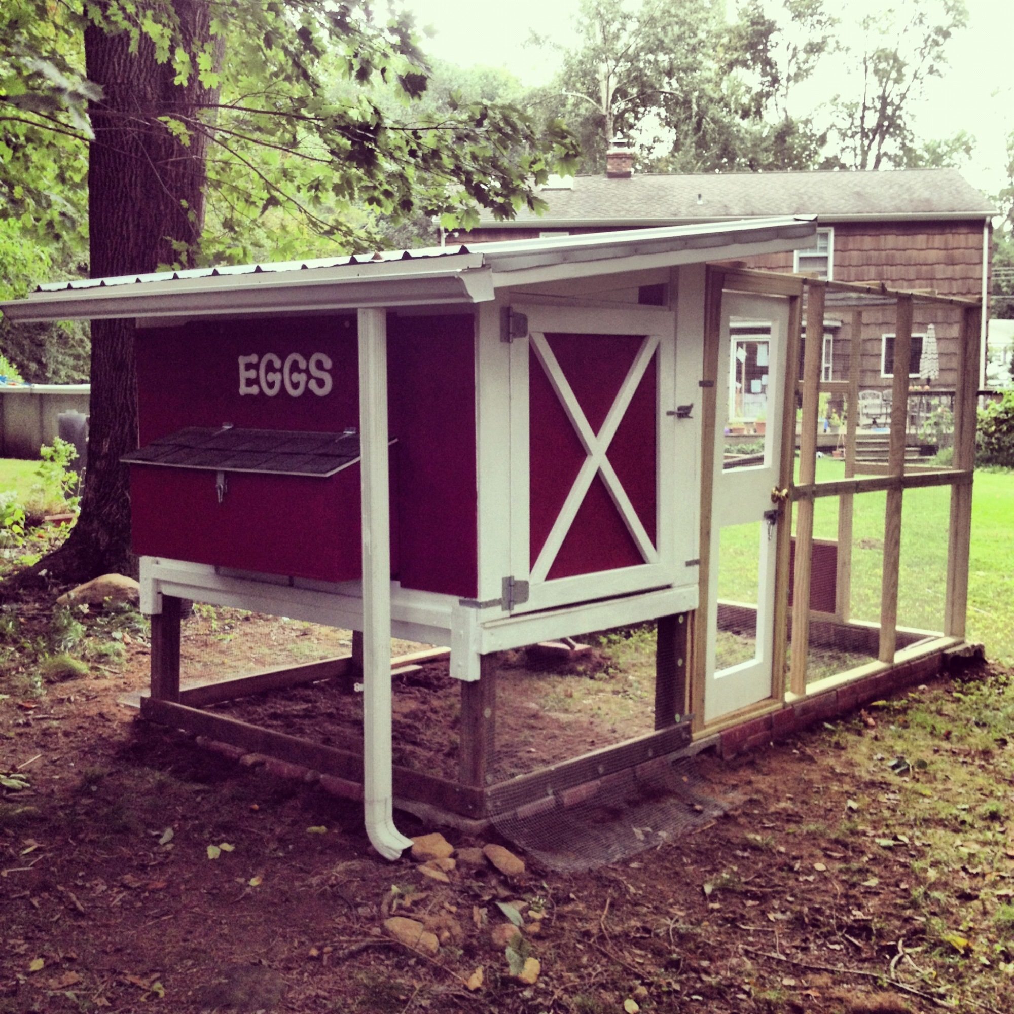 Back of coop - still have to finish skirting the run and attaching hardware cloth to bottom part of coop
