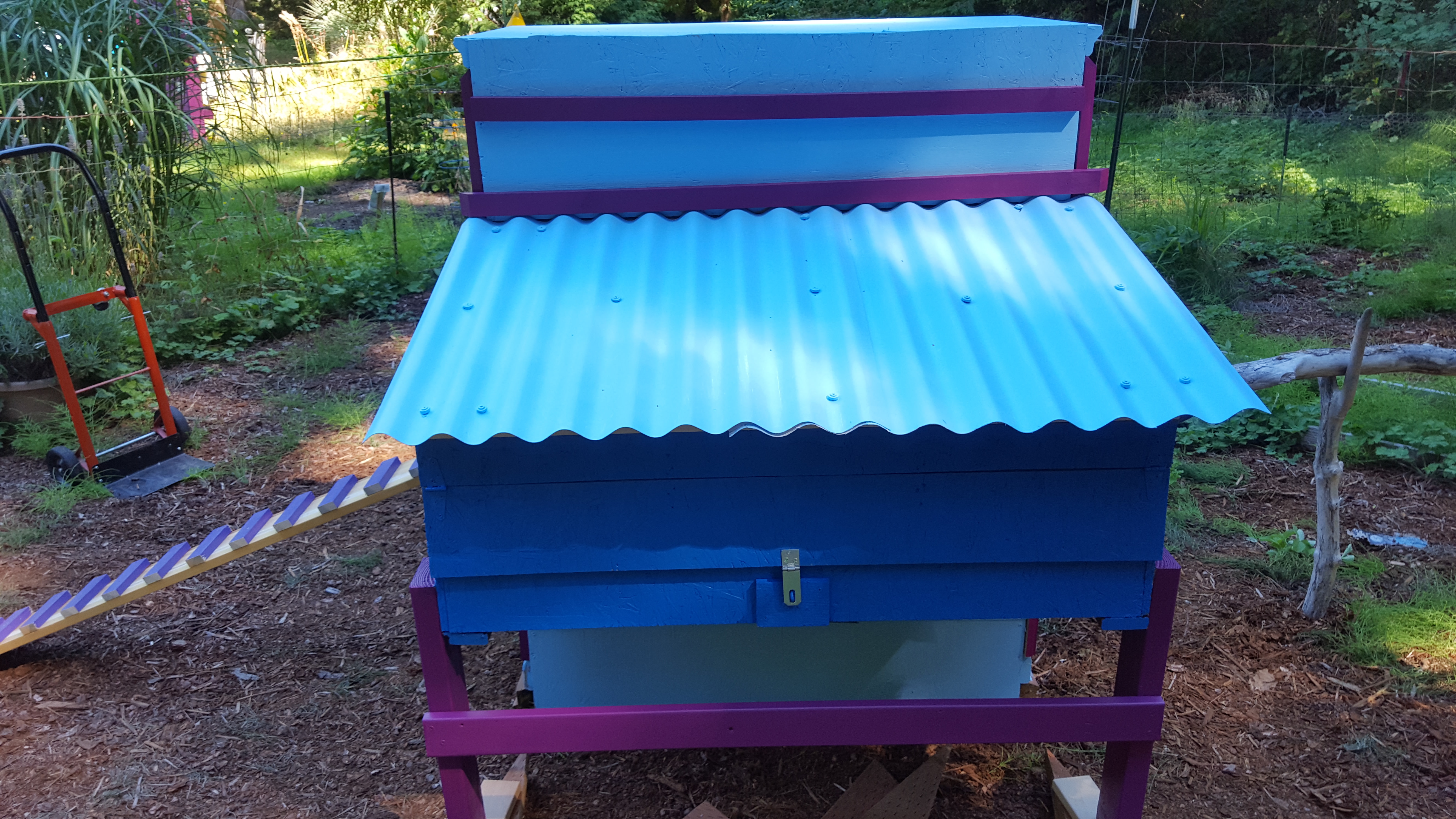 Back of coop with access to the nesting boxes.