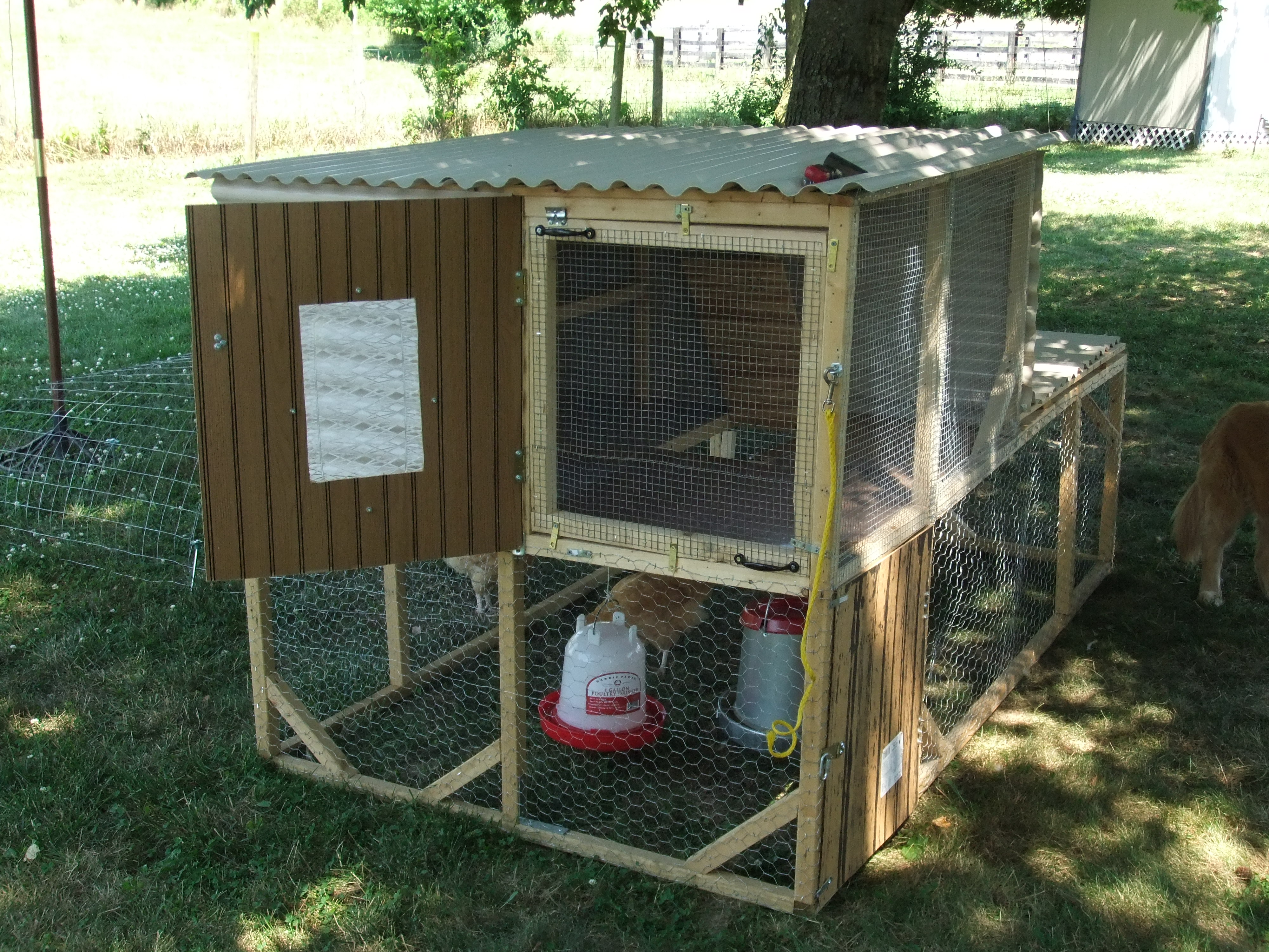 Back of coop
