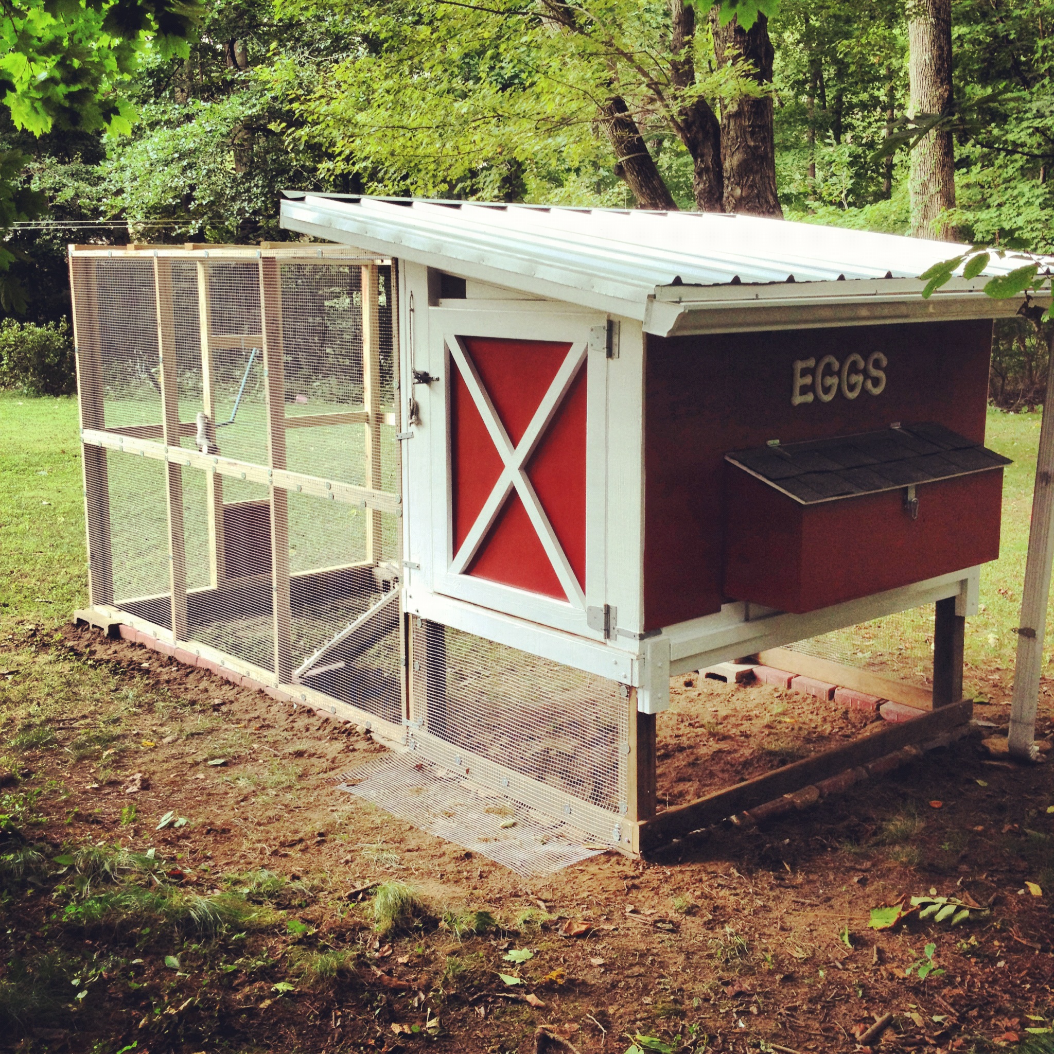 Back of coop