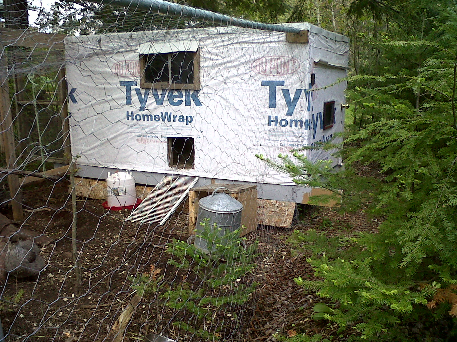 back of the coop