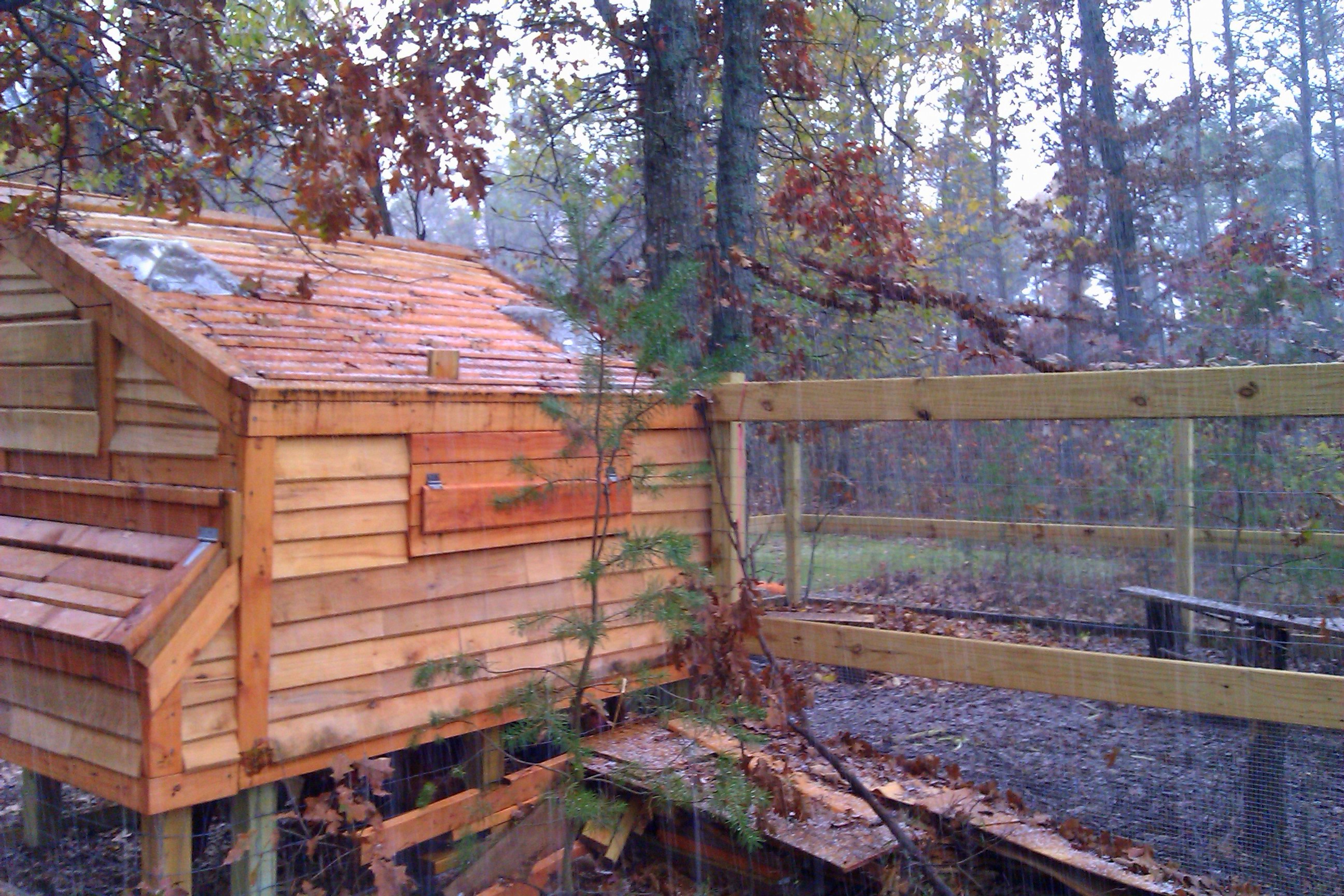 Back of the coop