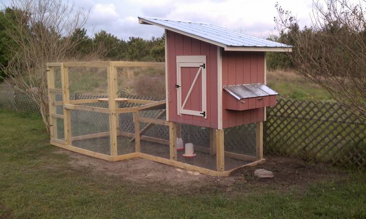 Back side nesting boxes with fold down for egg removal
