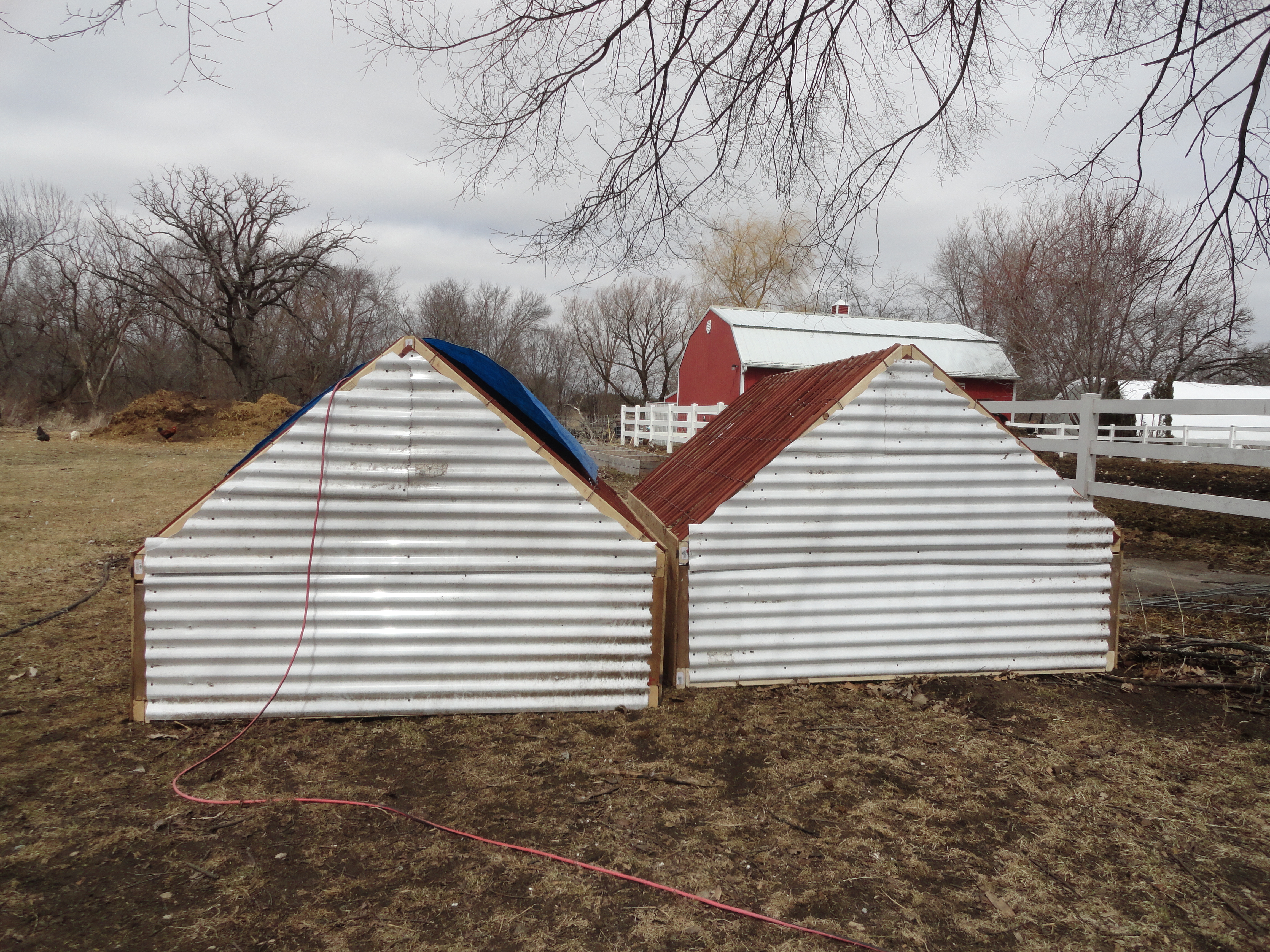 Back side of finished chicken tractors.  Eventually I will have a 5 gallon bucket on the back connected to a nipple drinking system.