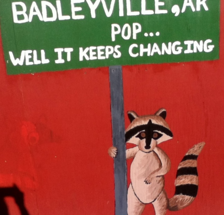 back side of "Servin Time Saloon" (sign means we are on our 2nd batch of chicks- first batch slaughtered by a ....RACOON!)
