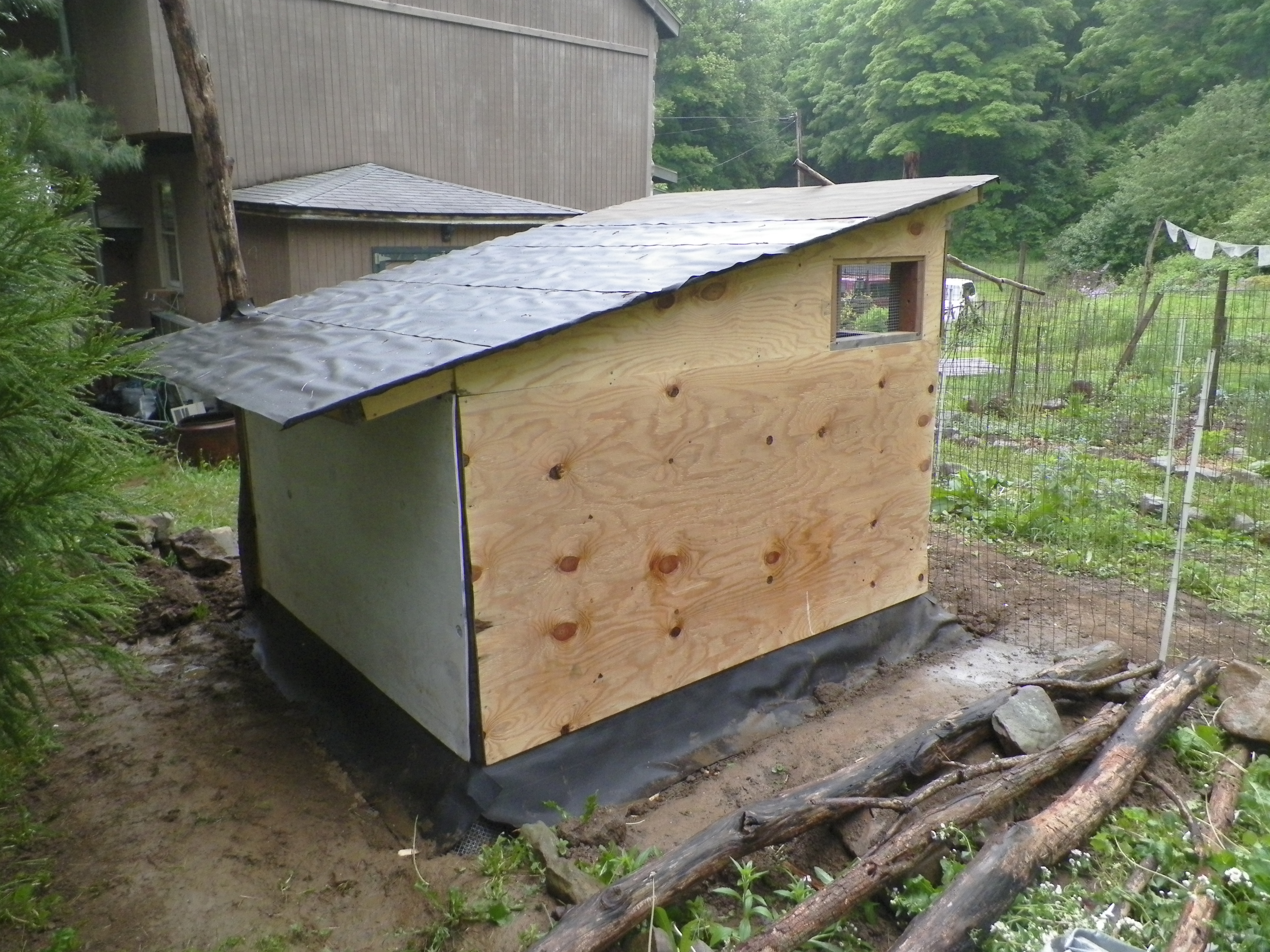 Back view. A bit of trim will cover the odd gaps on the corners, due to the pallet construction. The walls are neither straight or true, and right angles don't quite describe it. Such is the this recycle builders life. The roof is tar paper, and we will decide what sort of top coat we will add.
