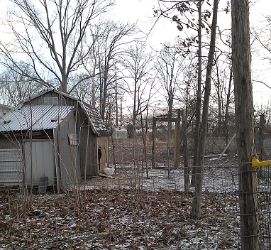 Back View from Duck Yard