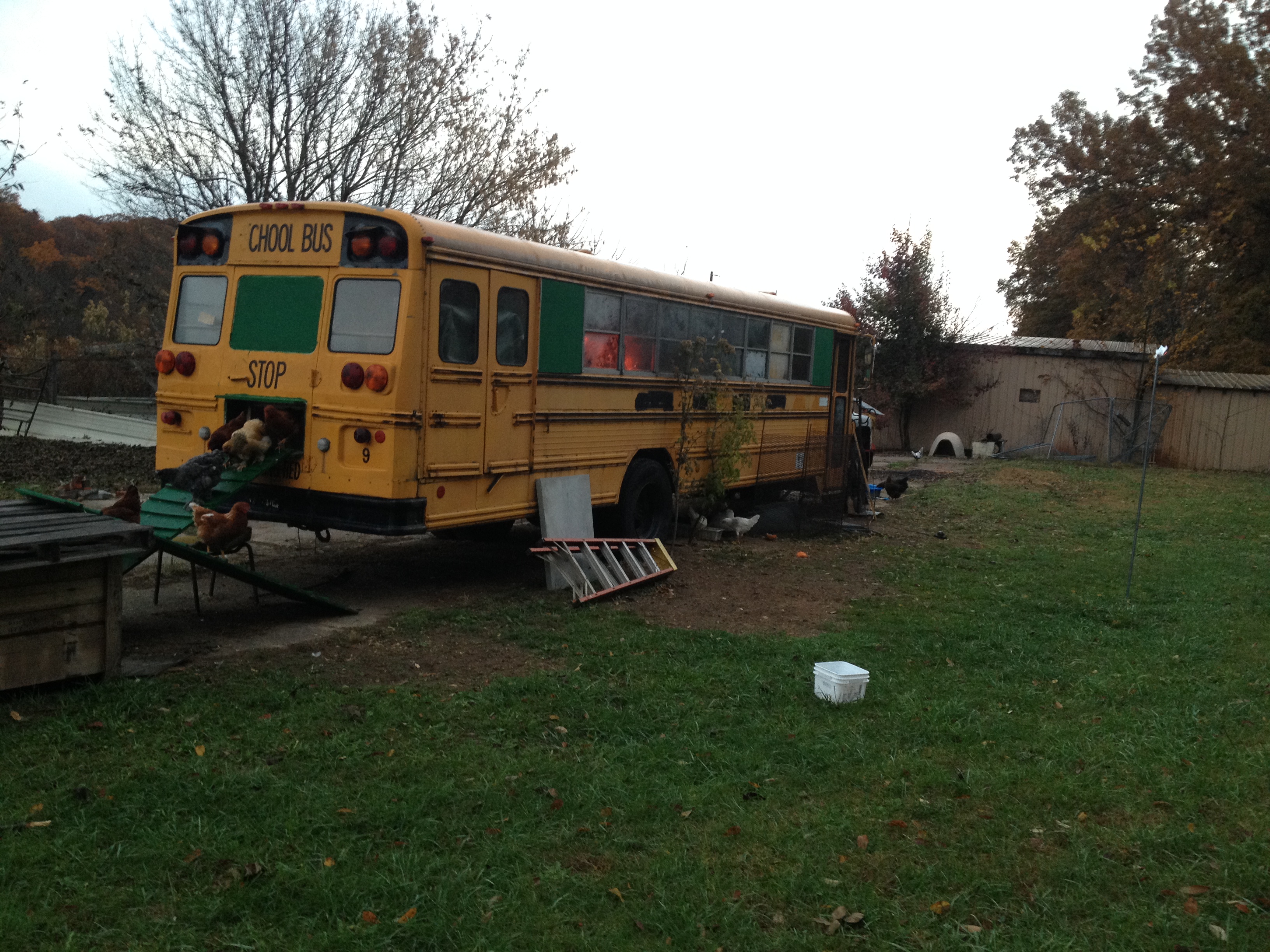 Back view of bus with chickens coming out.