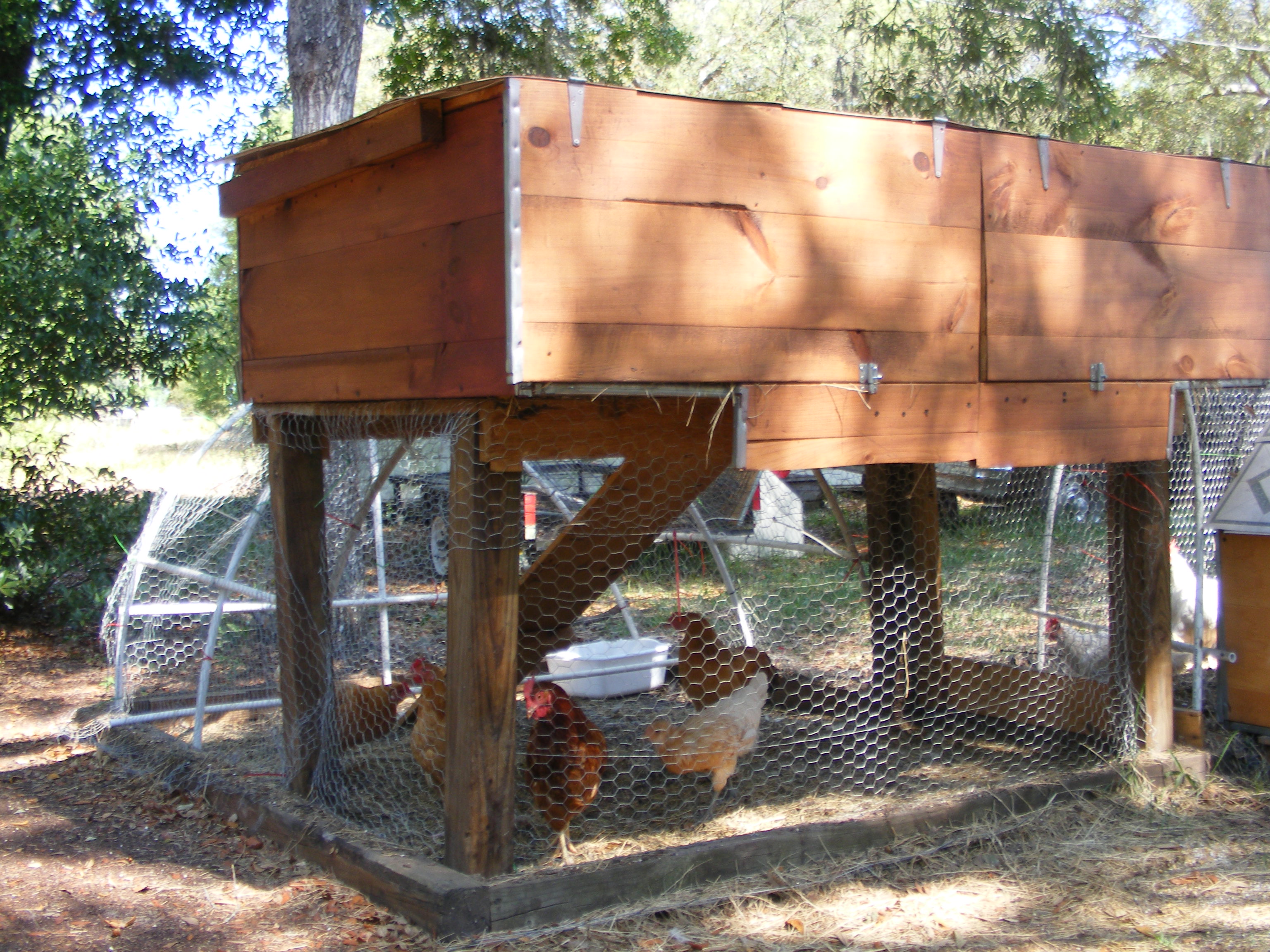 Back view of the stilt house there are a mix of chickens in here for now until we build the next coop