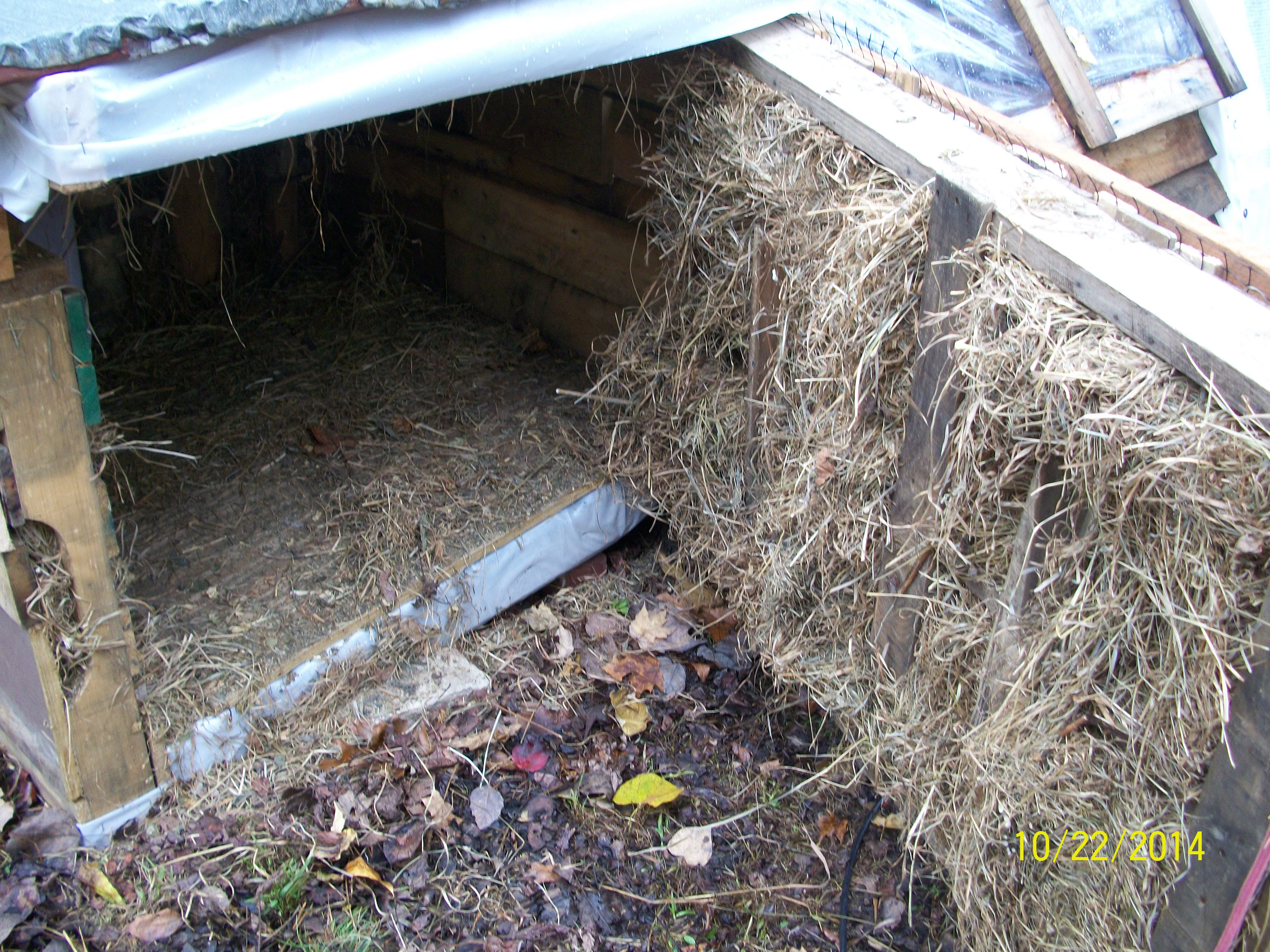 Back wall of the dog house is on hinges to open up for clean out...the wall is insulated with hay.