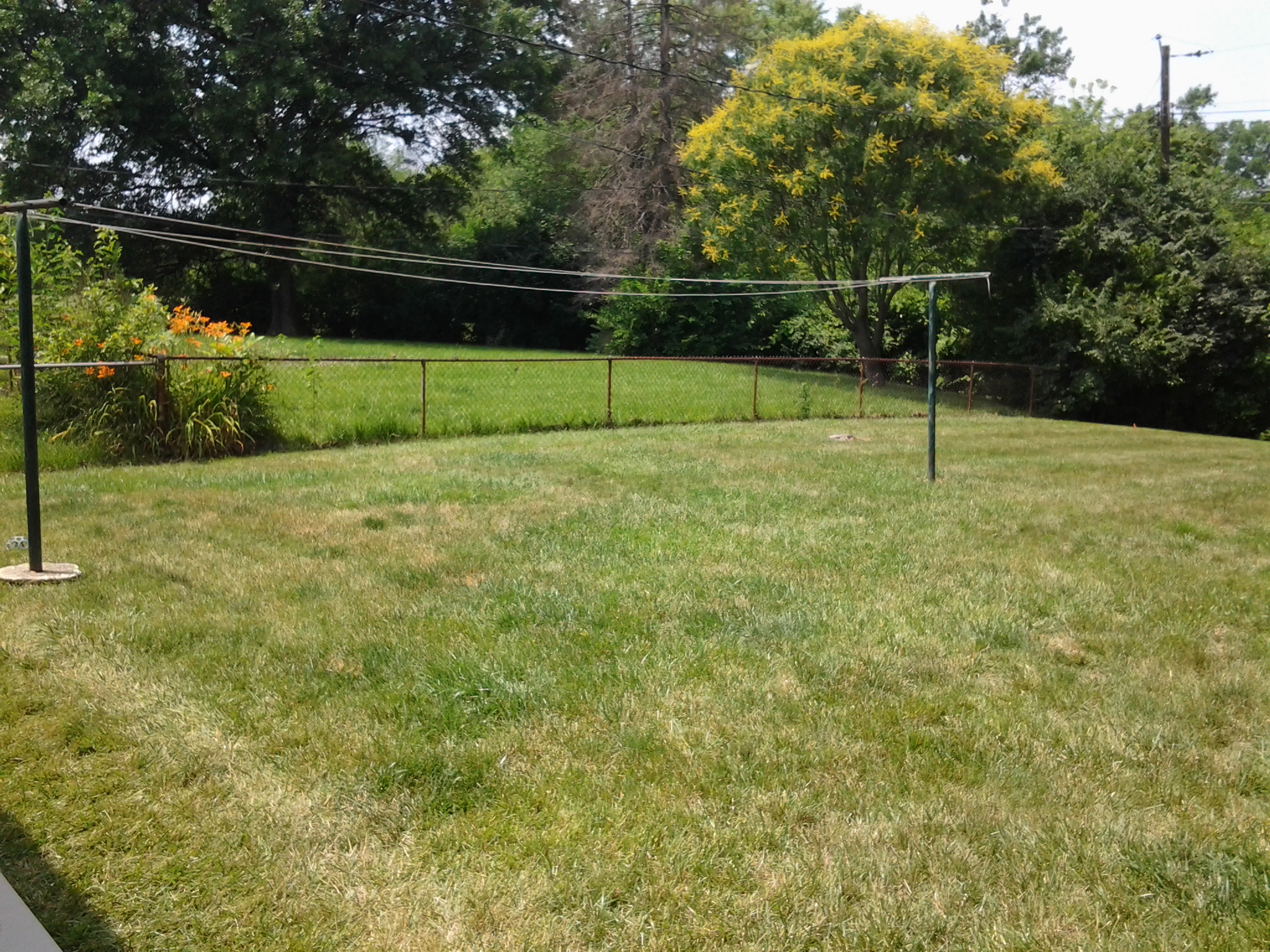 Back yard panorama for reference 2