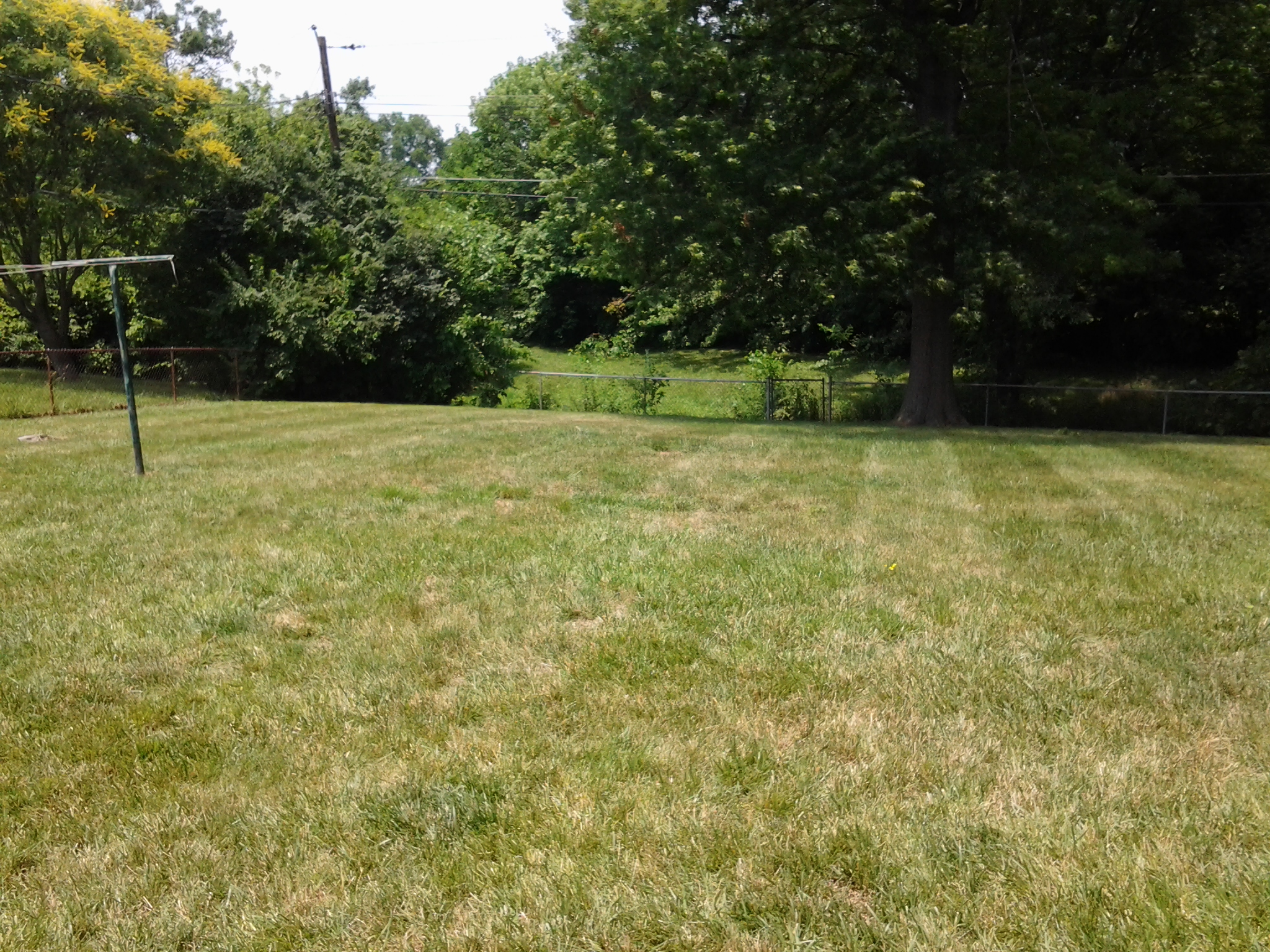 Back yard panorama for reference 3