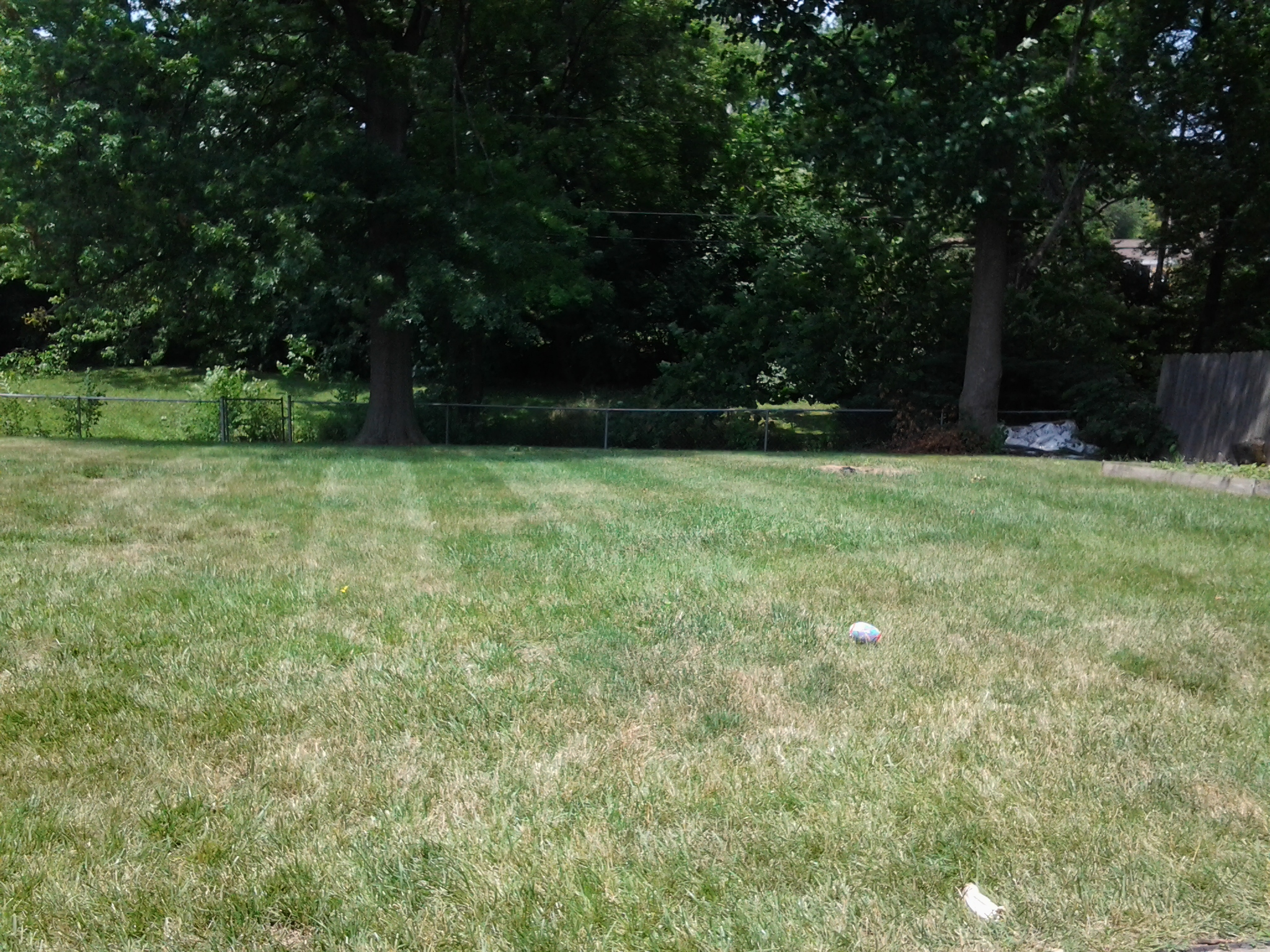 Back yard panorama for reference 4