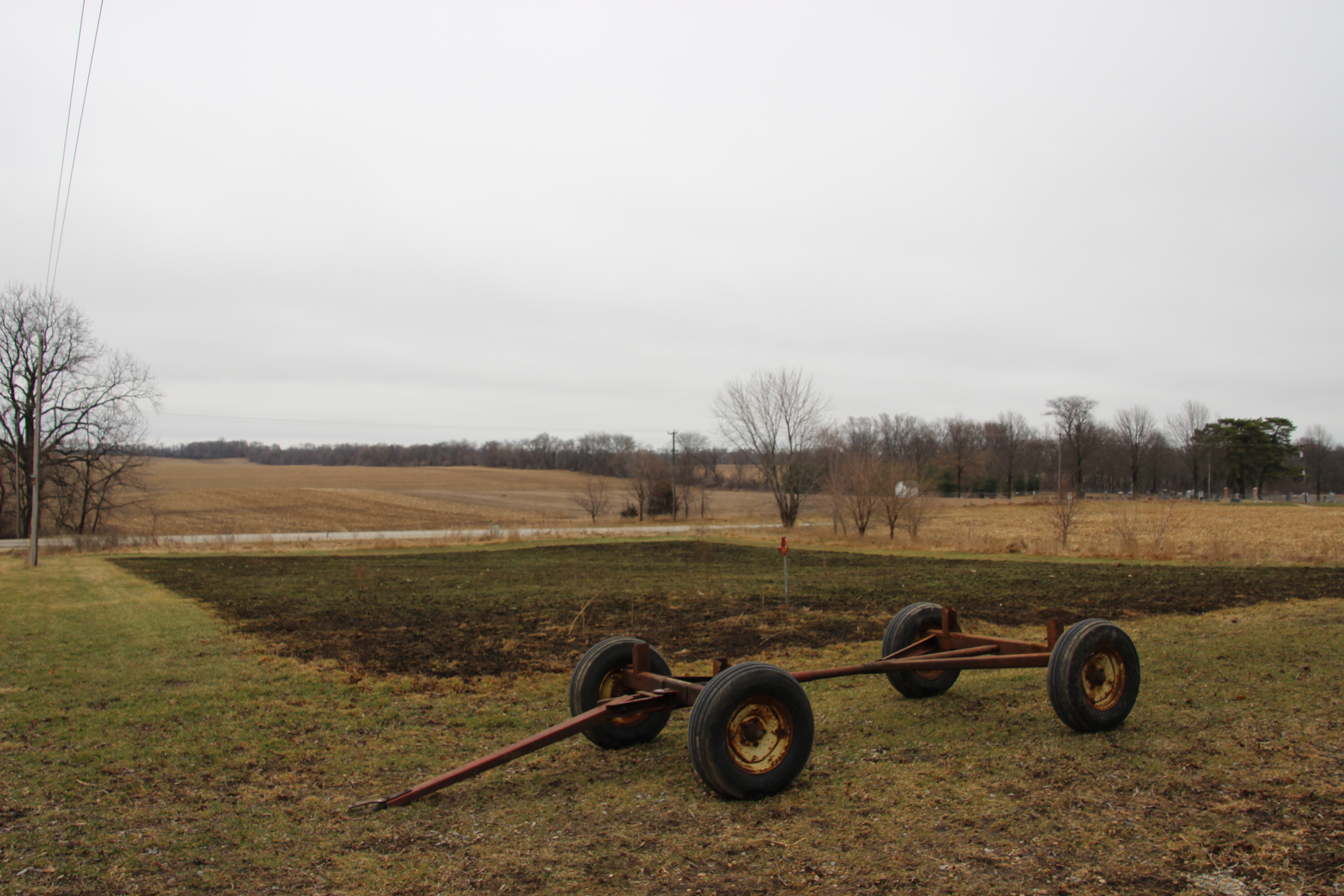 Background: Controlled burn pasture, re-seeded with a large amount of rye, orchard grass, timothy, alfalfa, and 7 types of clover.  Foreground: new chicken tractor running gear?!?