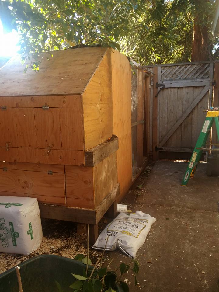 Backside of the coop, with the doors to nest boxes.