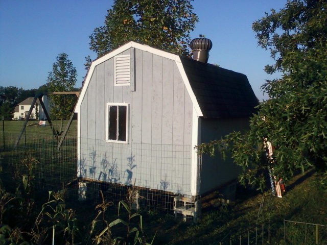 Backside, some old windows installed for light.