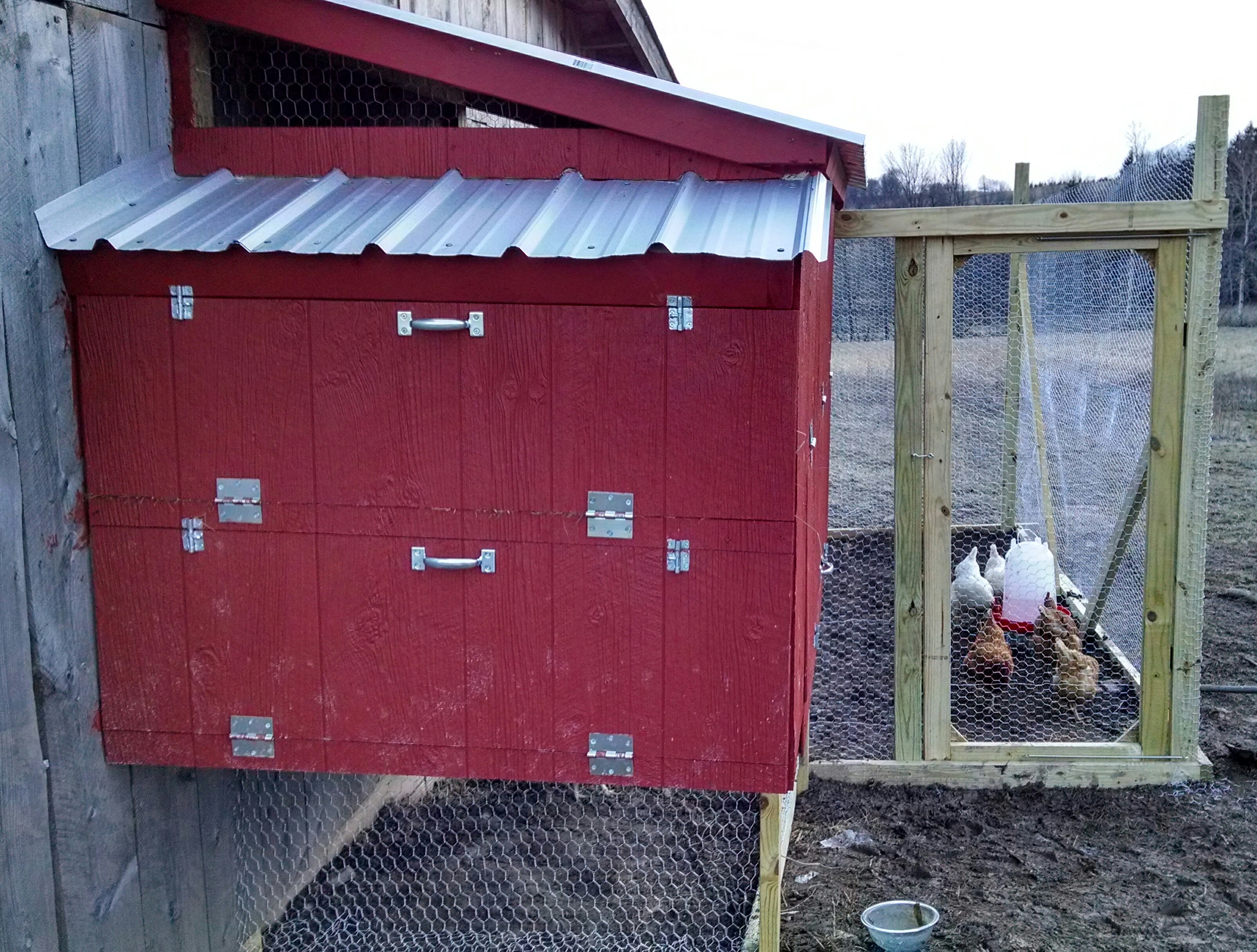 Backside view. Has two doors that open for easy access to the two rows of nesting boxes for egg collection.
