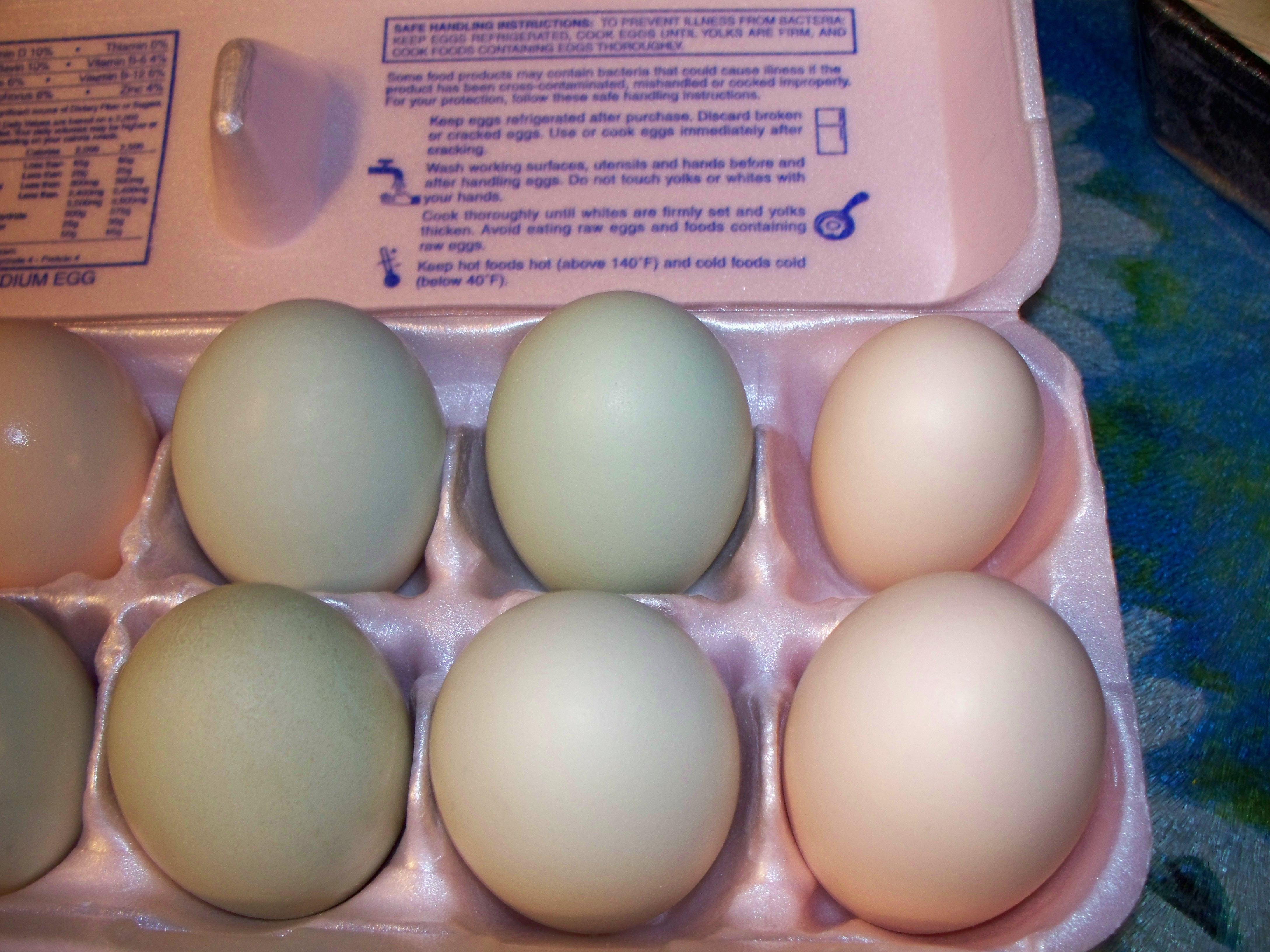 Bambi's egg