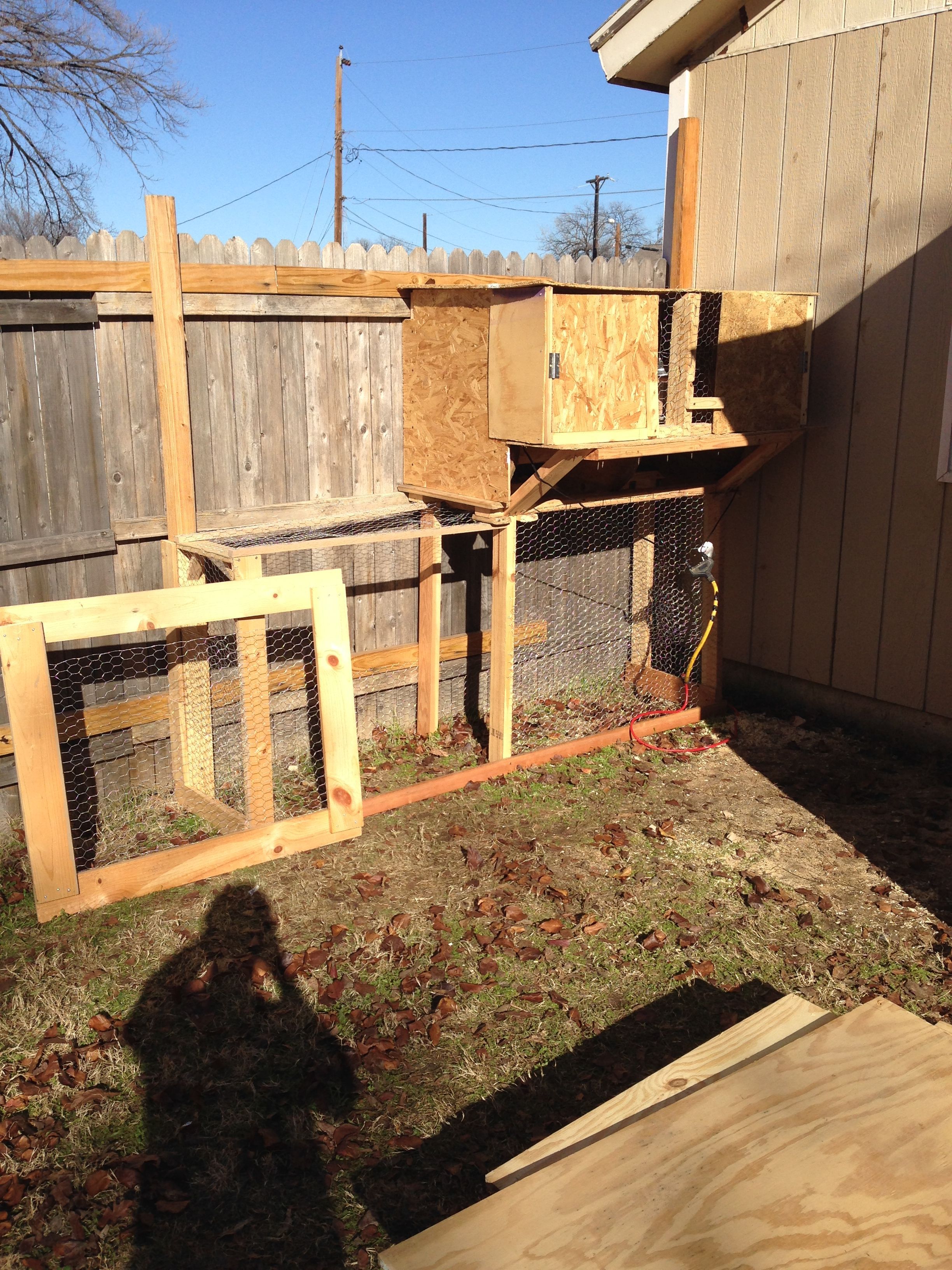 Bantam coop run. Phase 1.