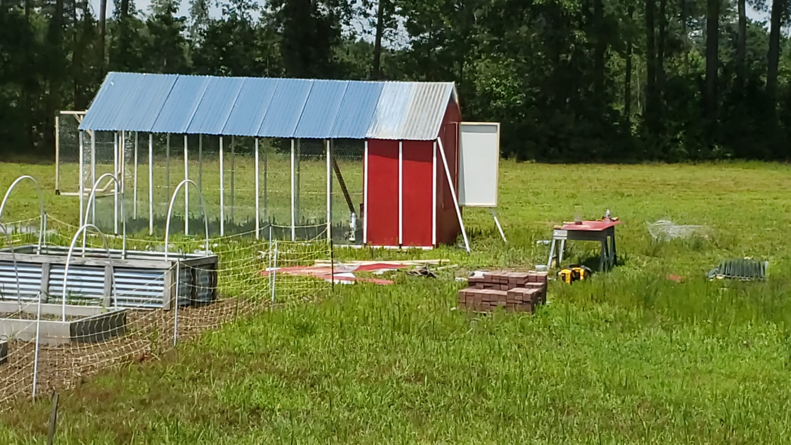 Bantam coop/run