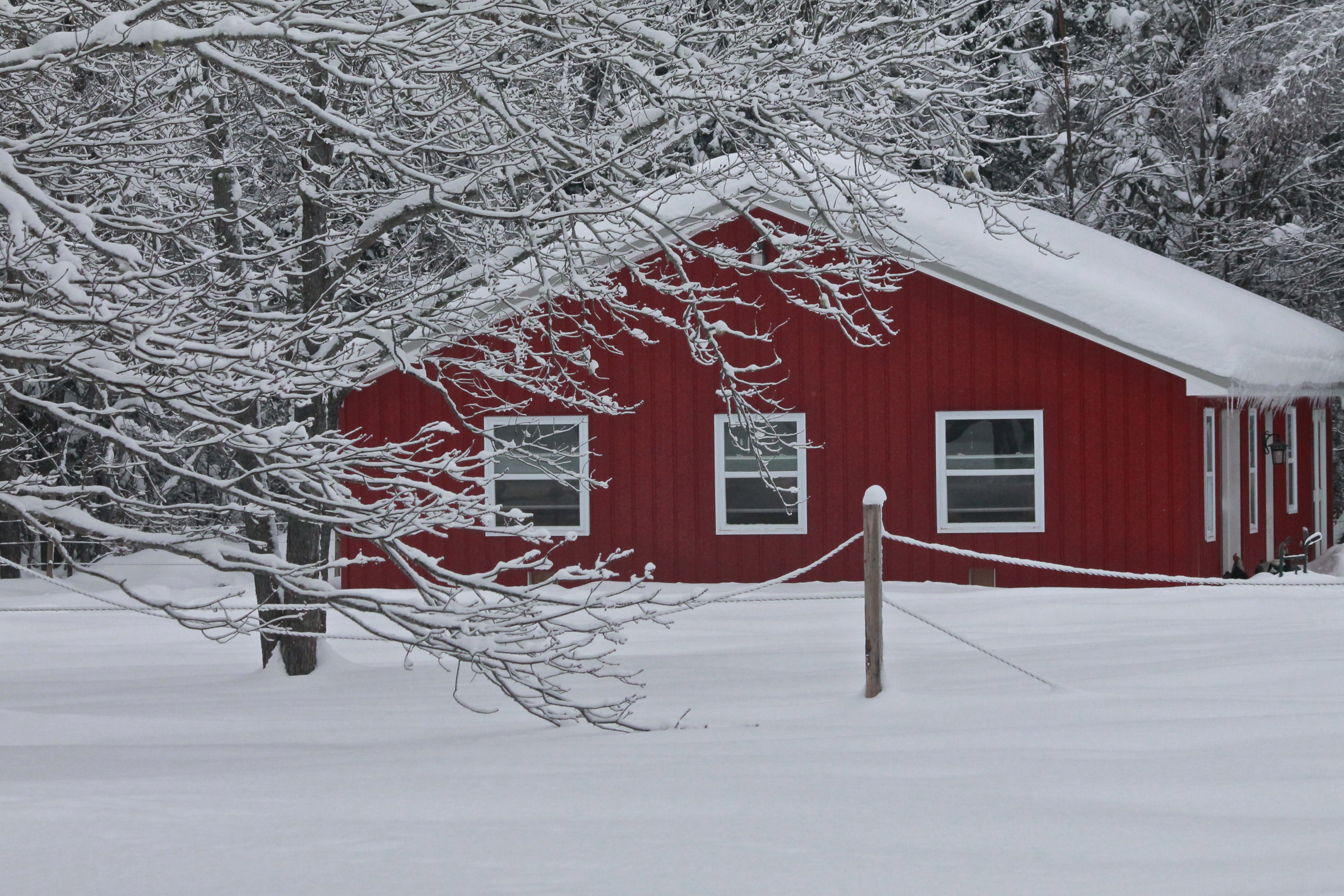 Barn this winter after 2.5 feet of snow.