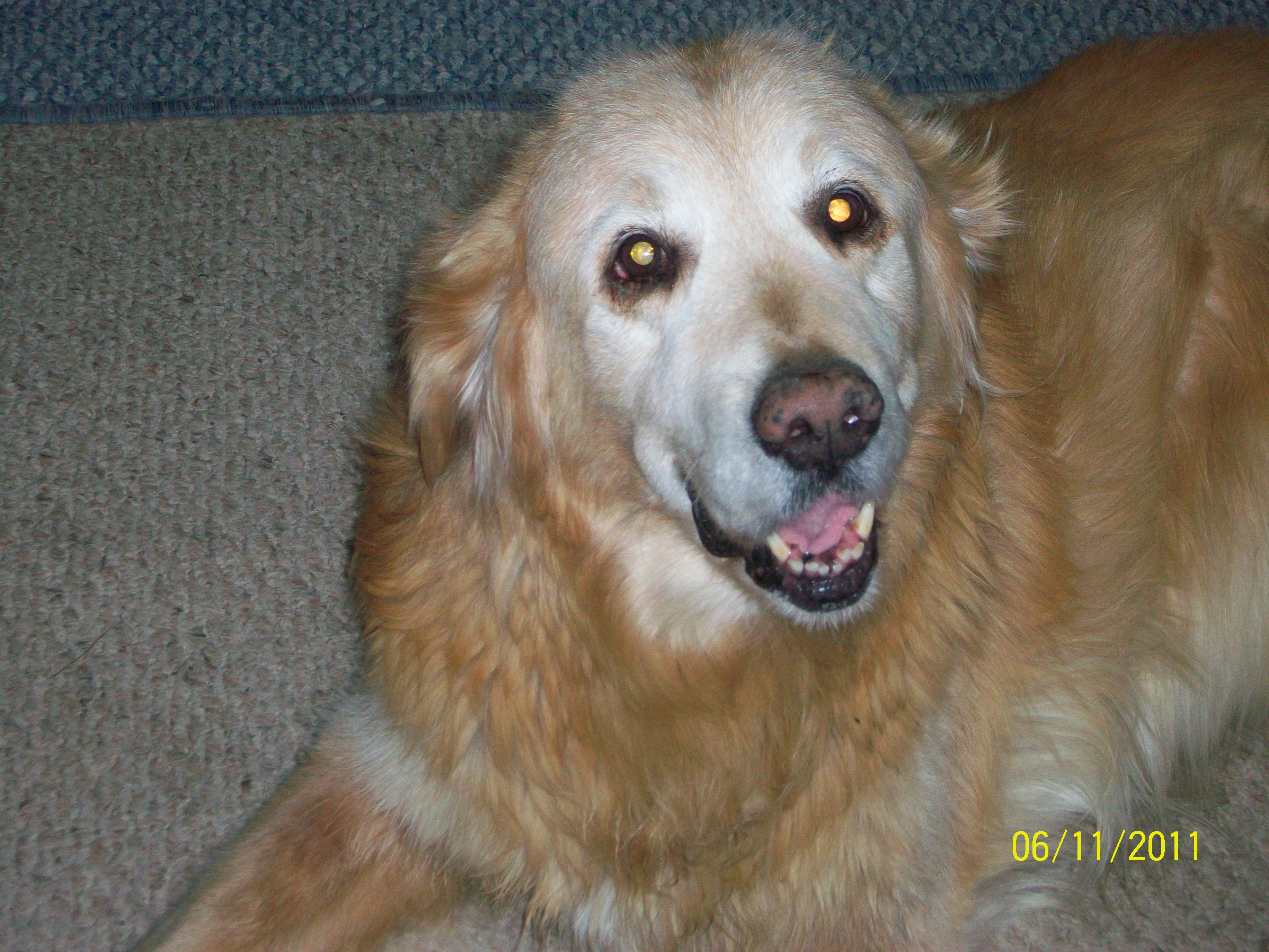 Barney  "RIP" buddy, miss you!