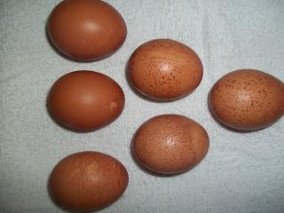 Barnie Eggs