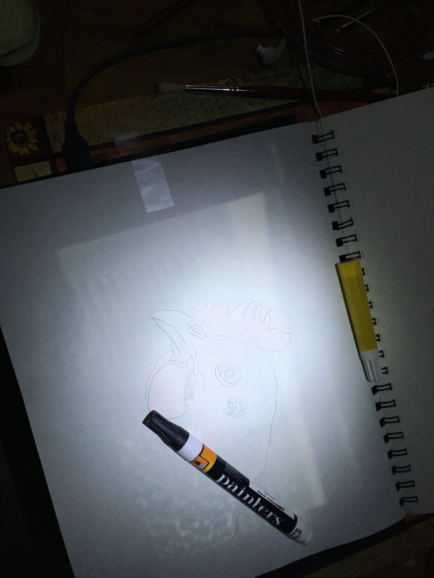 Barred Rock Sketch Setup