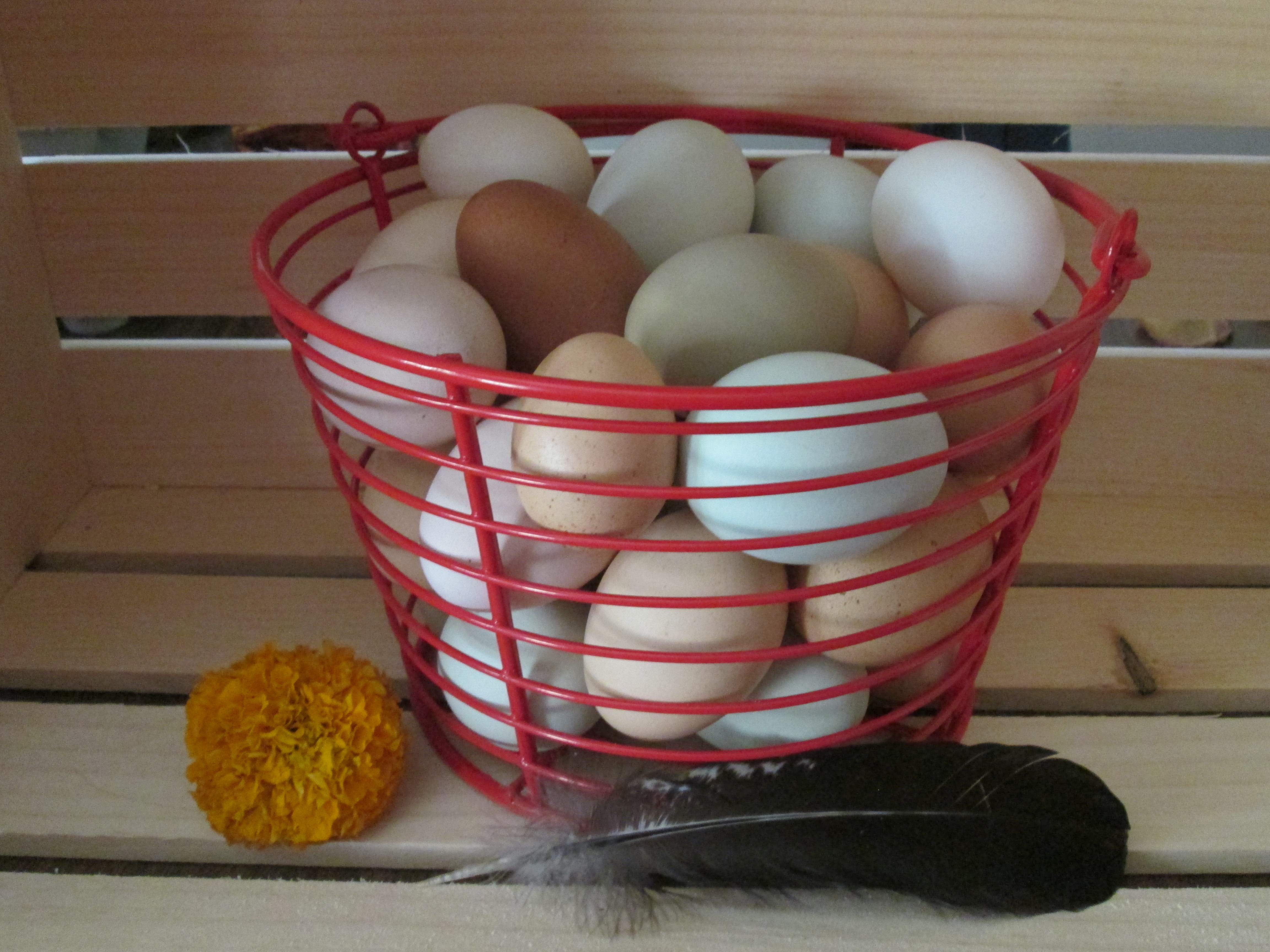 basket of color variety eggs