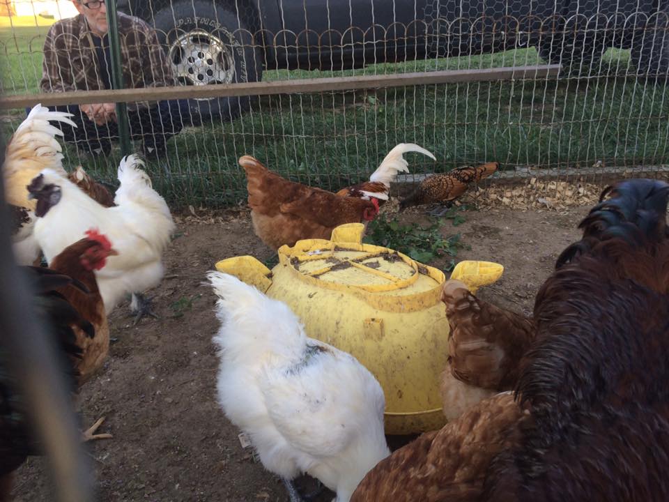 "Bath" box was a bust