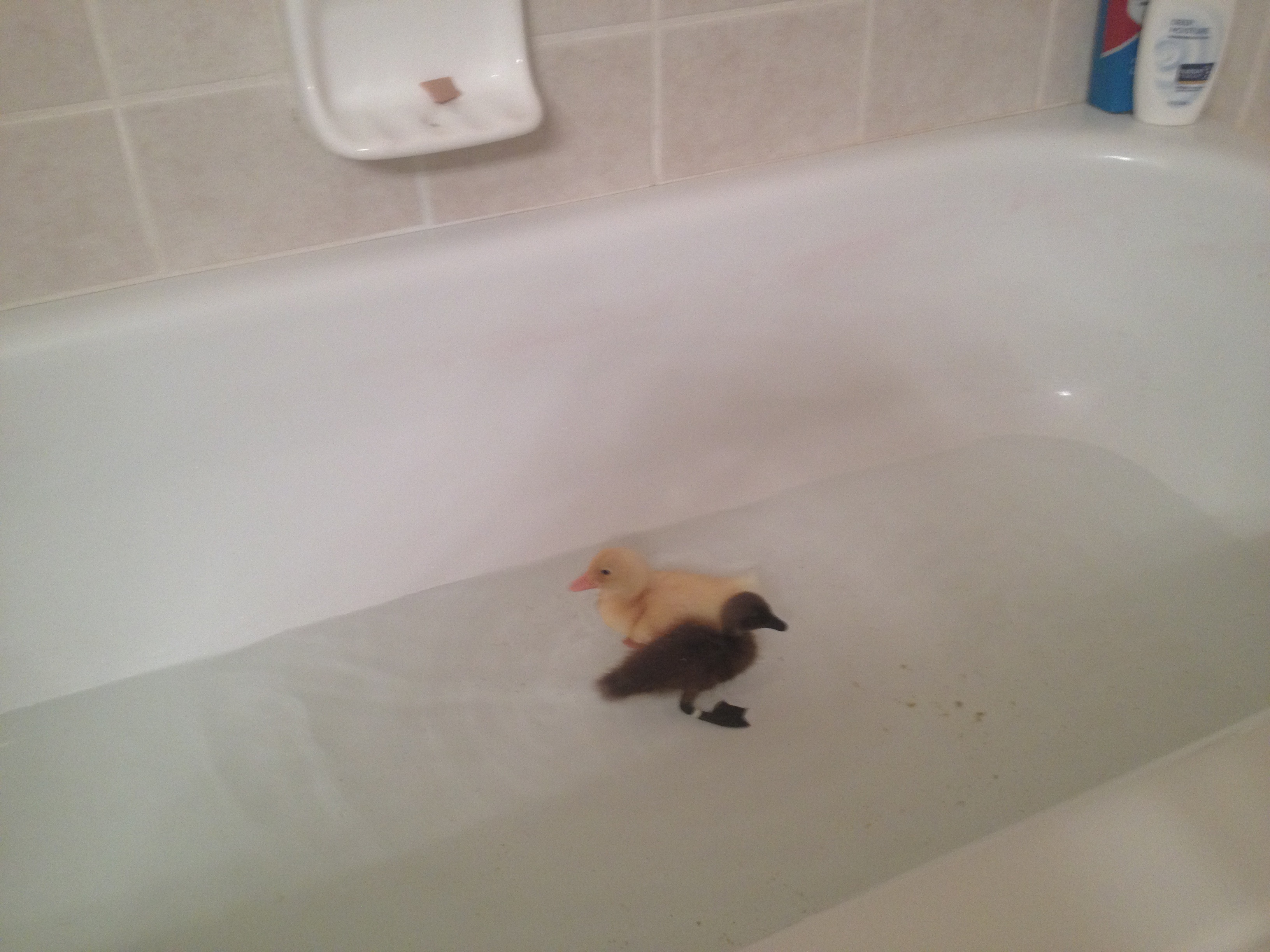 Bath time!