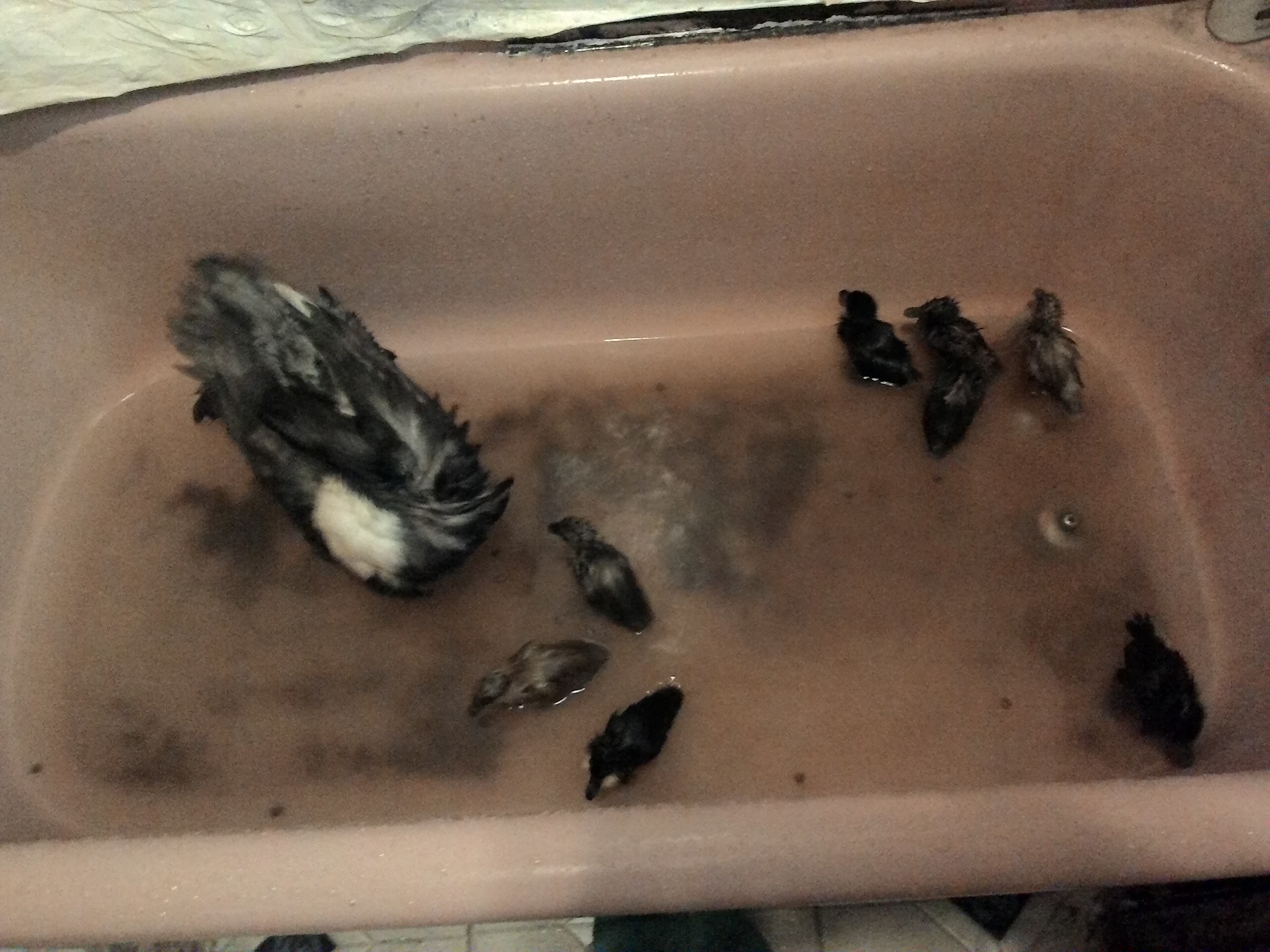 Bath time!