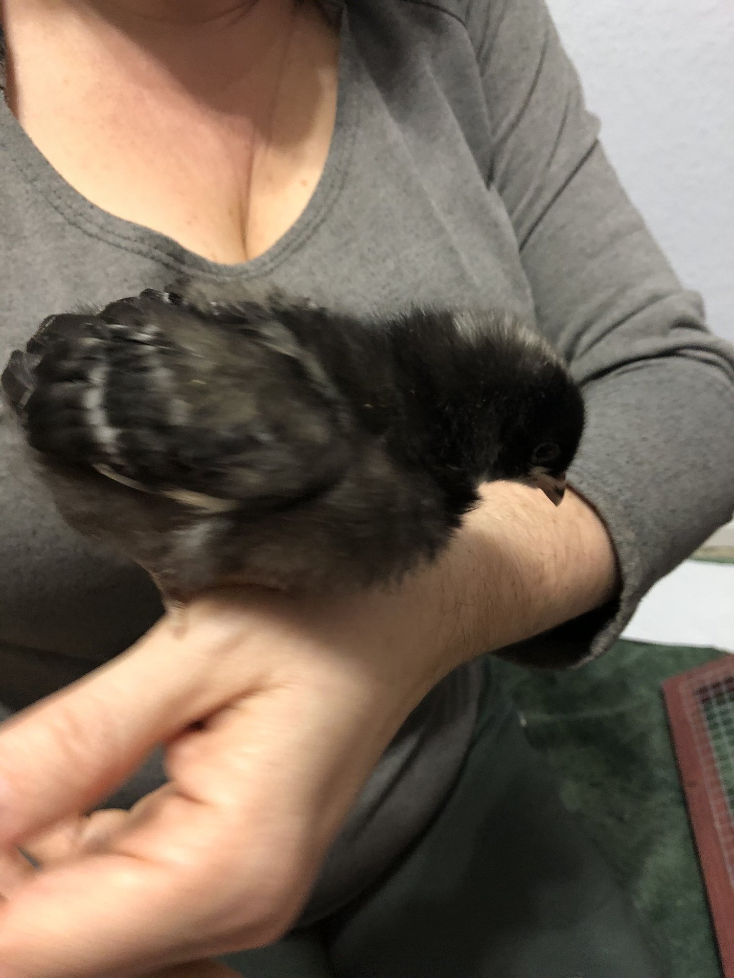 BC855B99-C818-4993-A9FB-B7A0CE3DC332