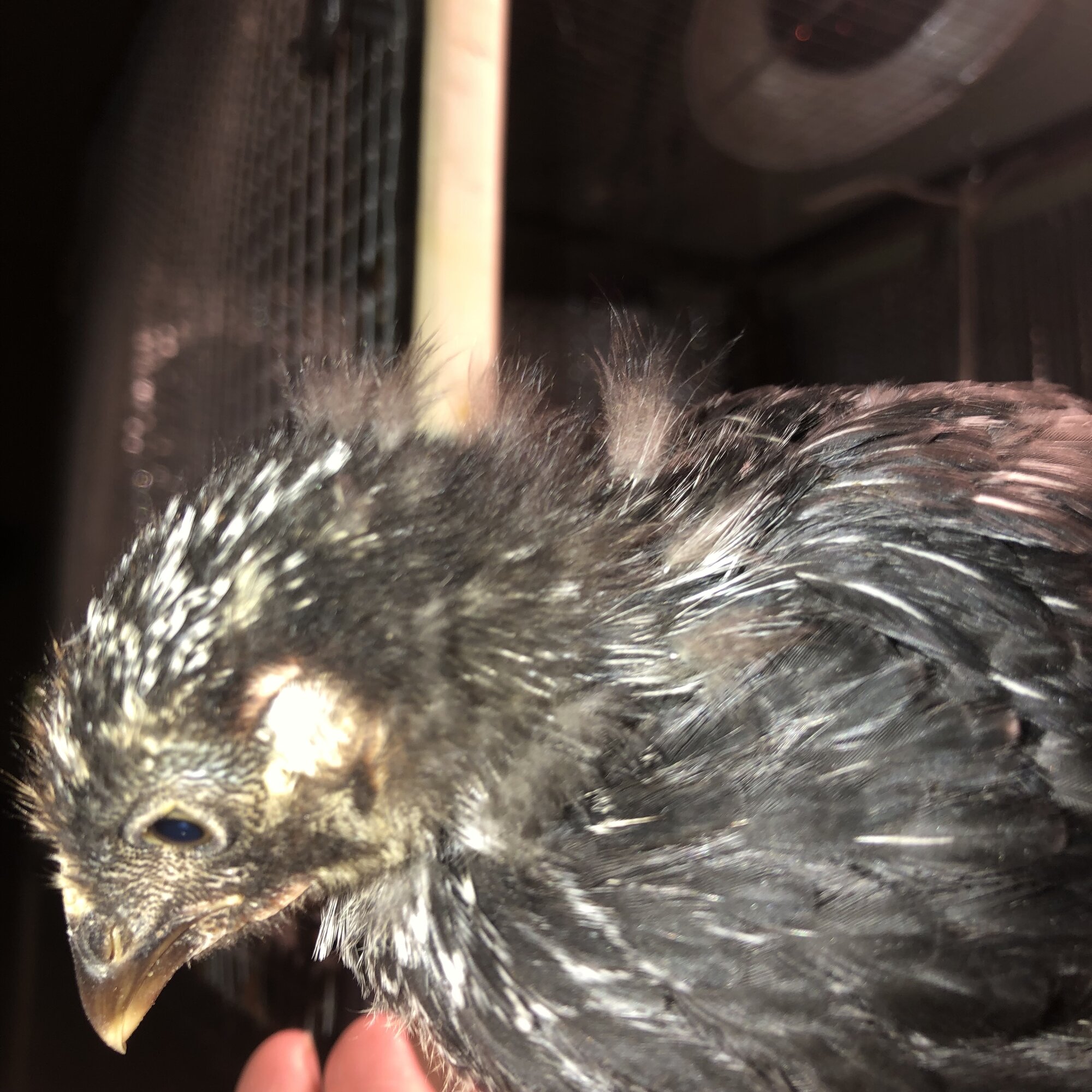 BCF38AE2-E6D6-4BCE-AD76-5774F3DDCE29