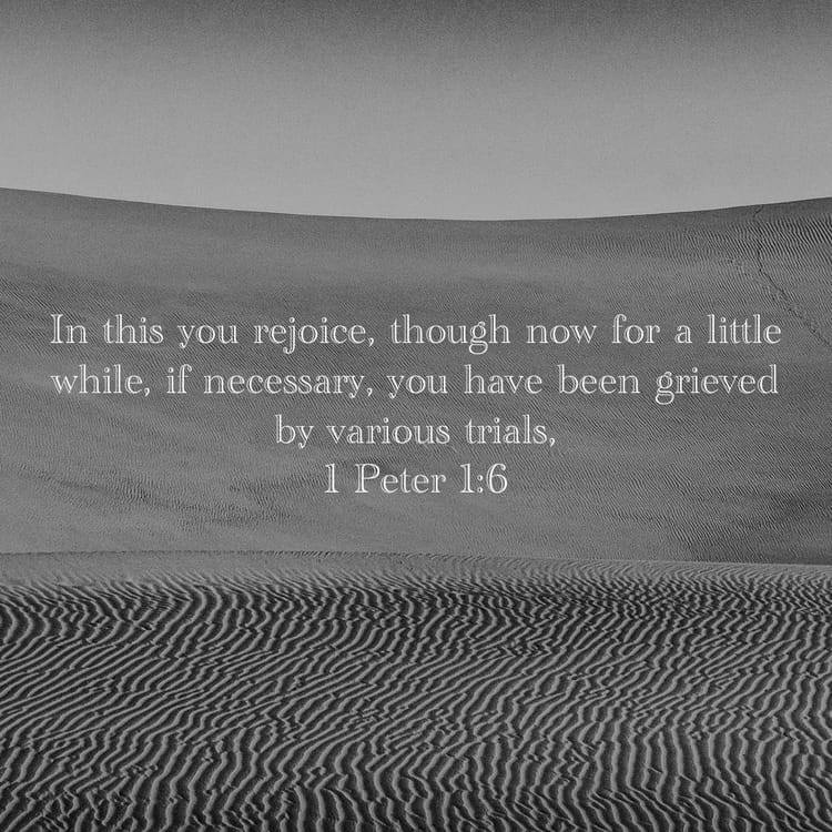 BE65C399-E0C6-454F-A220-9321153B4760.jpeg