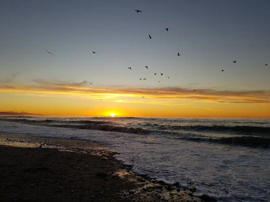 beach sunset by @Chookwagn.png