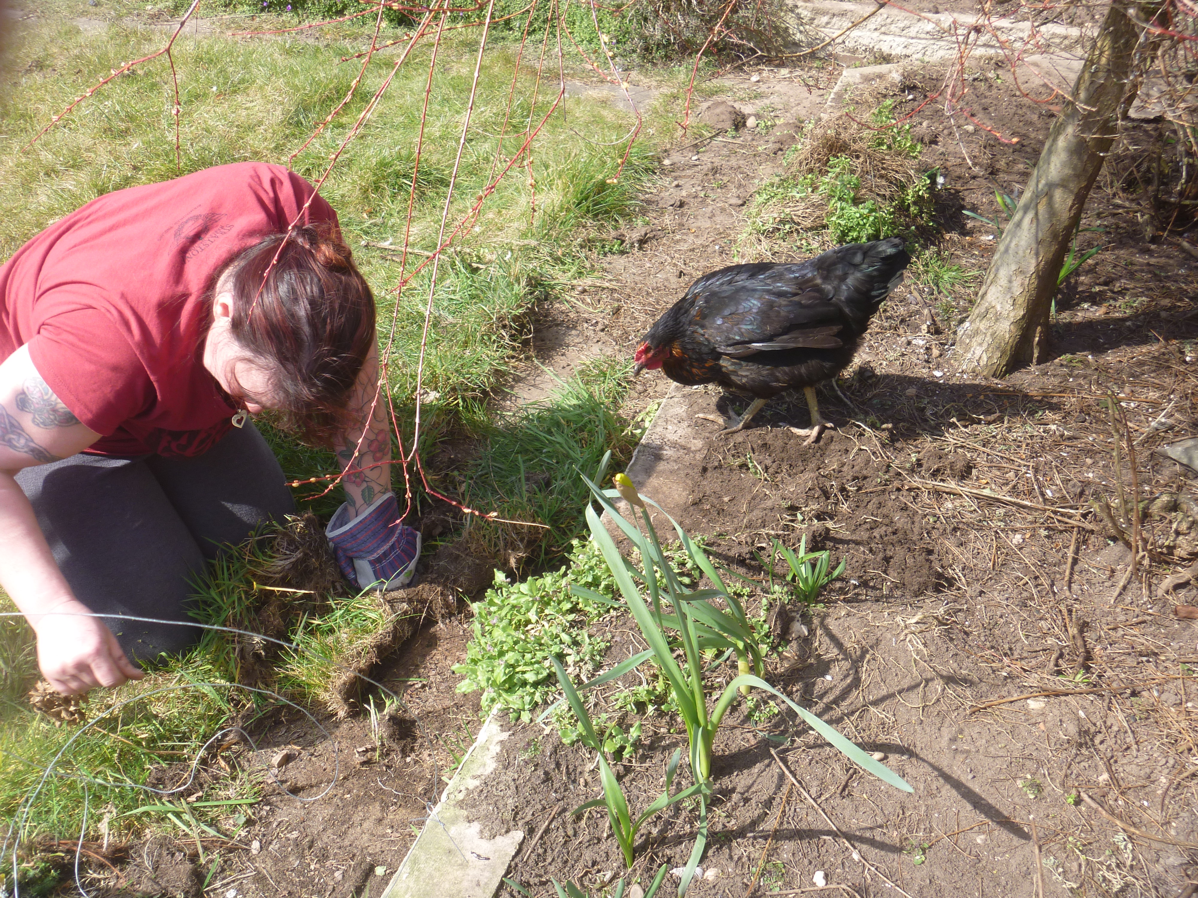 Beatrix and I digging for worms.