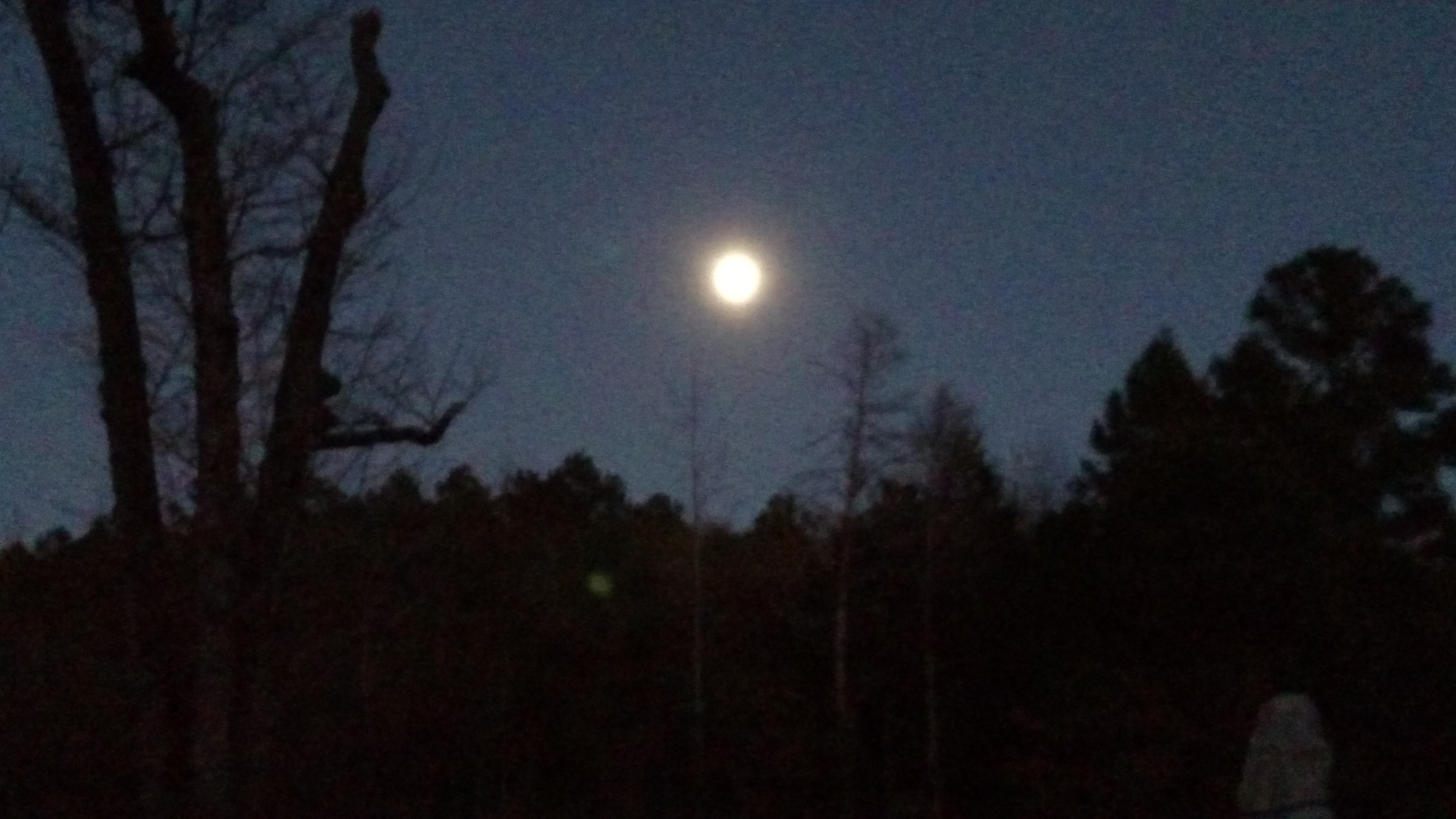 Beautiful night and moon.