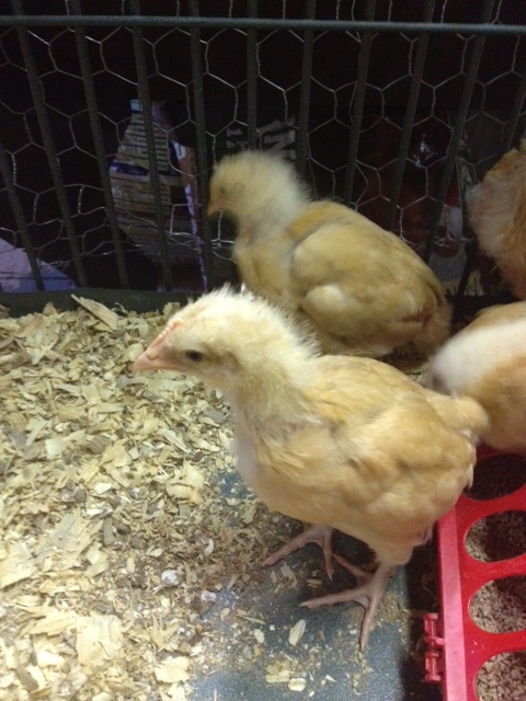 Bed head going here..lol