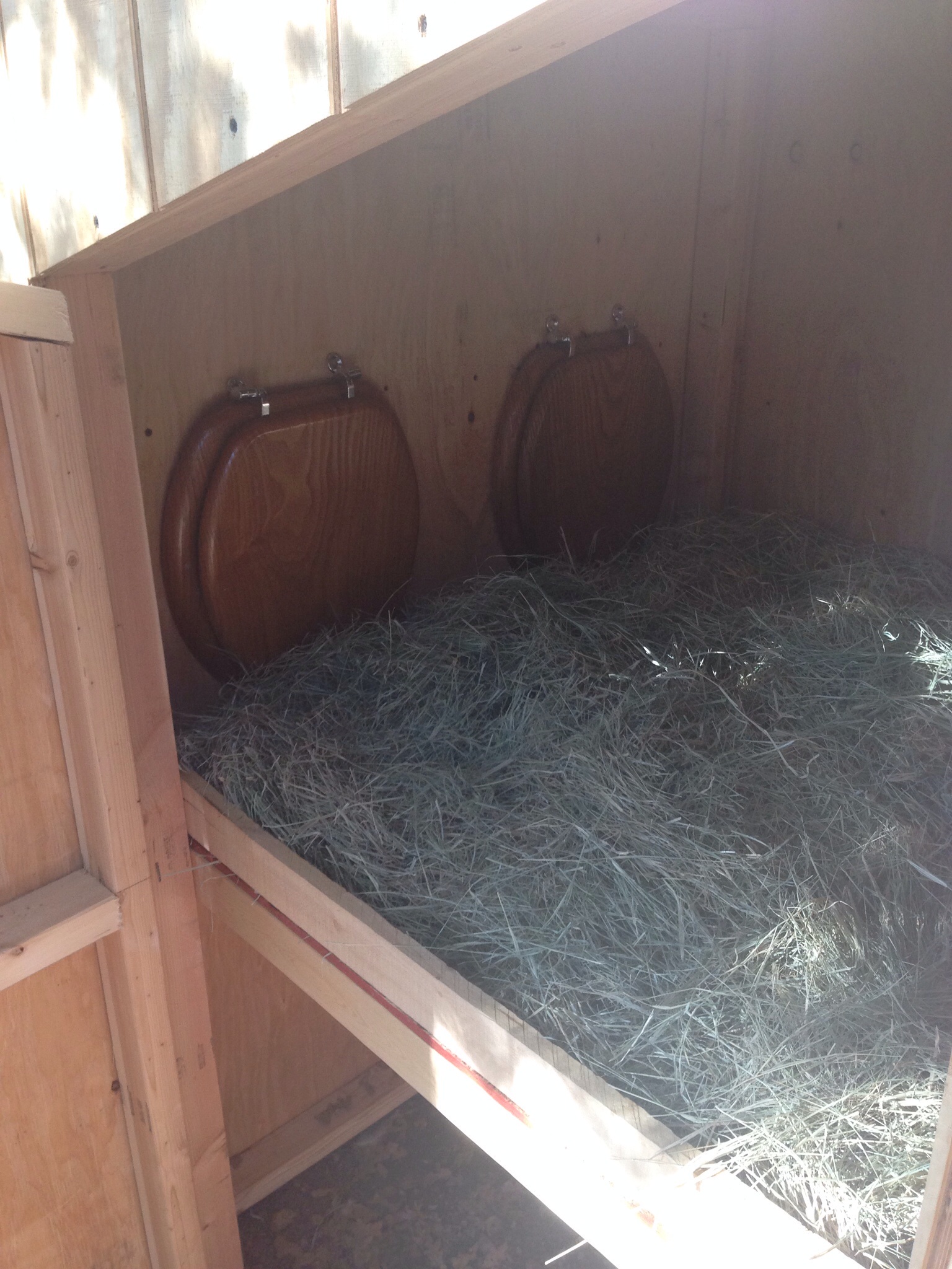 Bedding on top of  poultry dust.